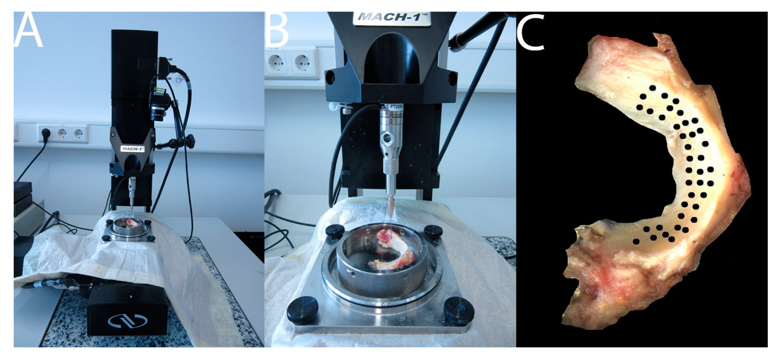 Applsci 10 09012 g001 Applsci 10 09012 g001