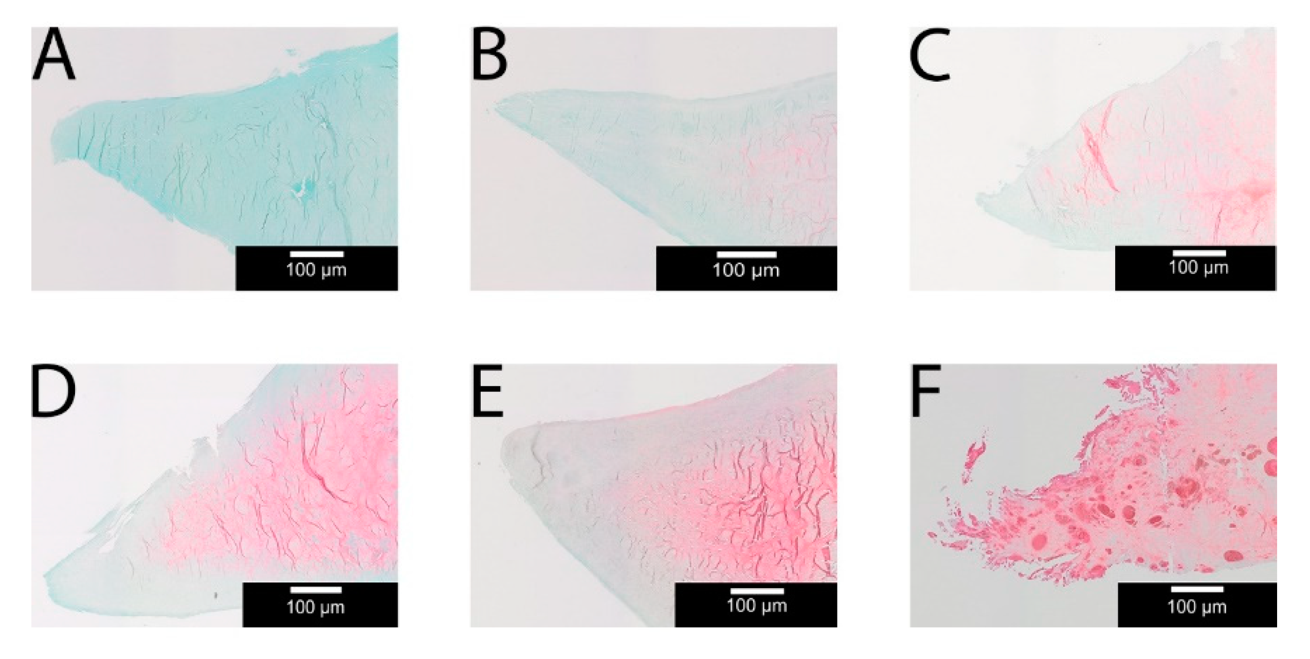Applsci 10 09012 g007 Applsci 10 09012 g007