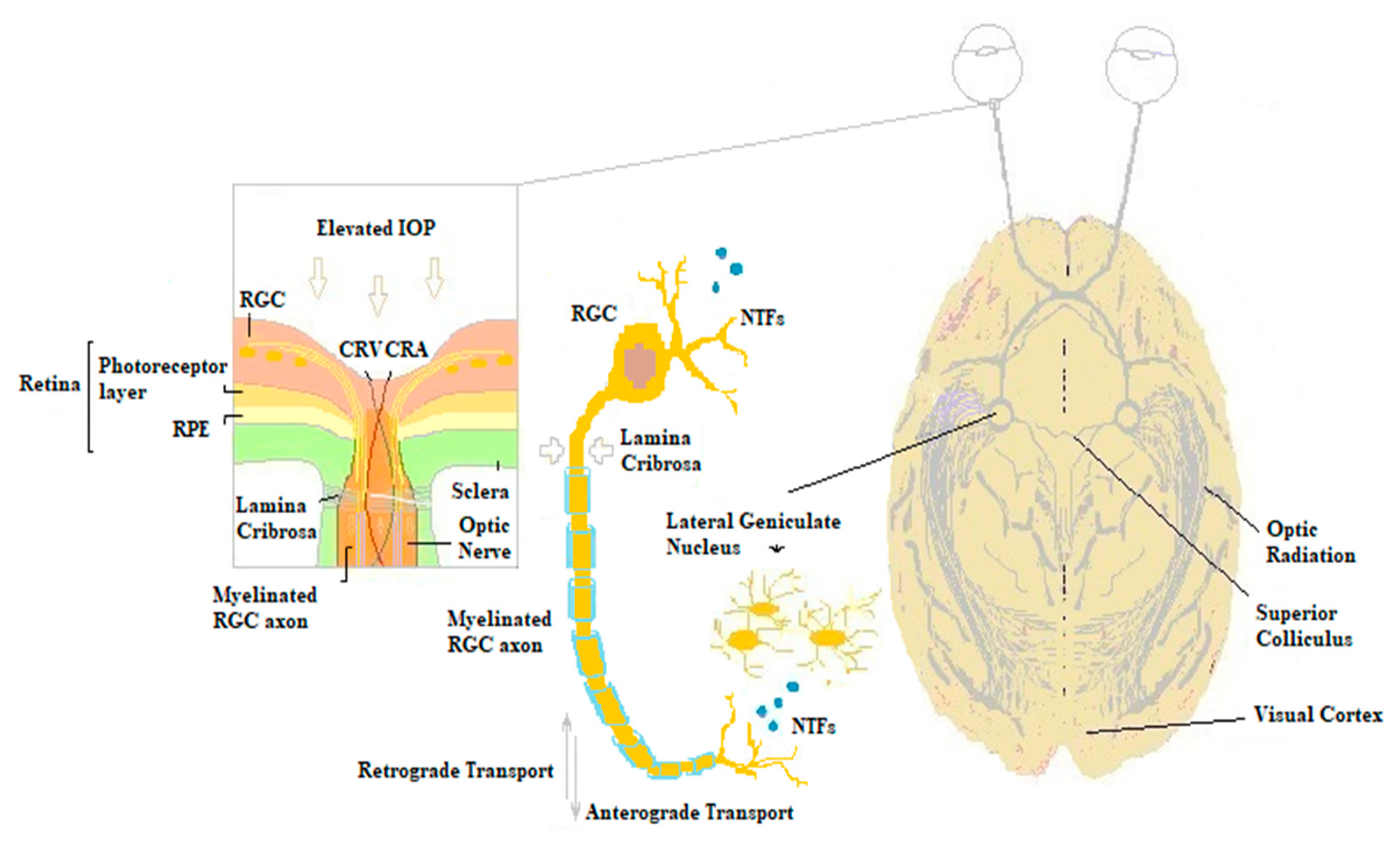 Applsci 10 09015 g001