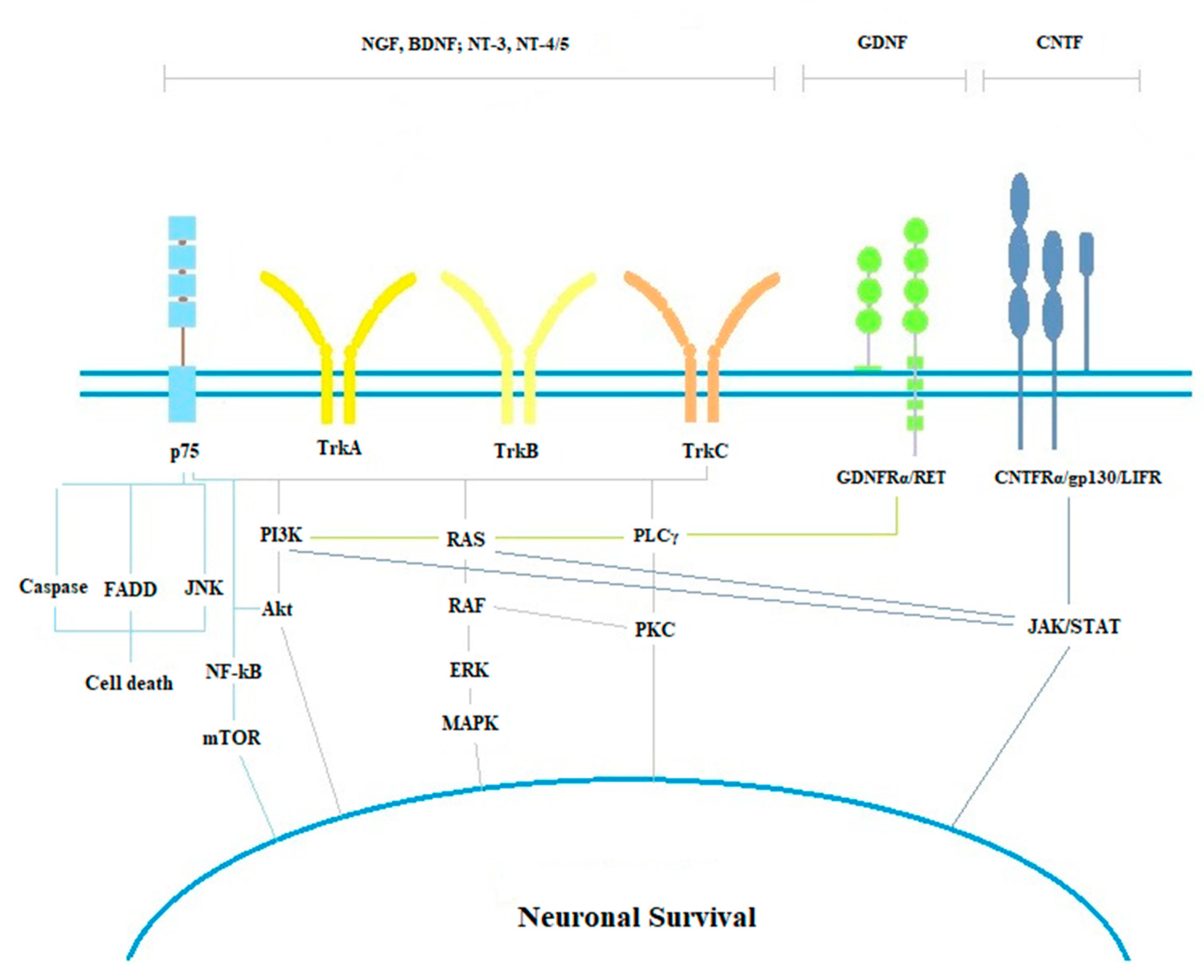 Applsci 10 09015 g002