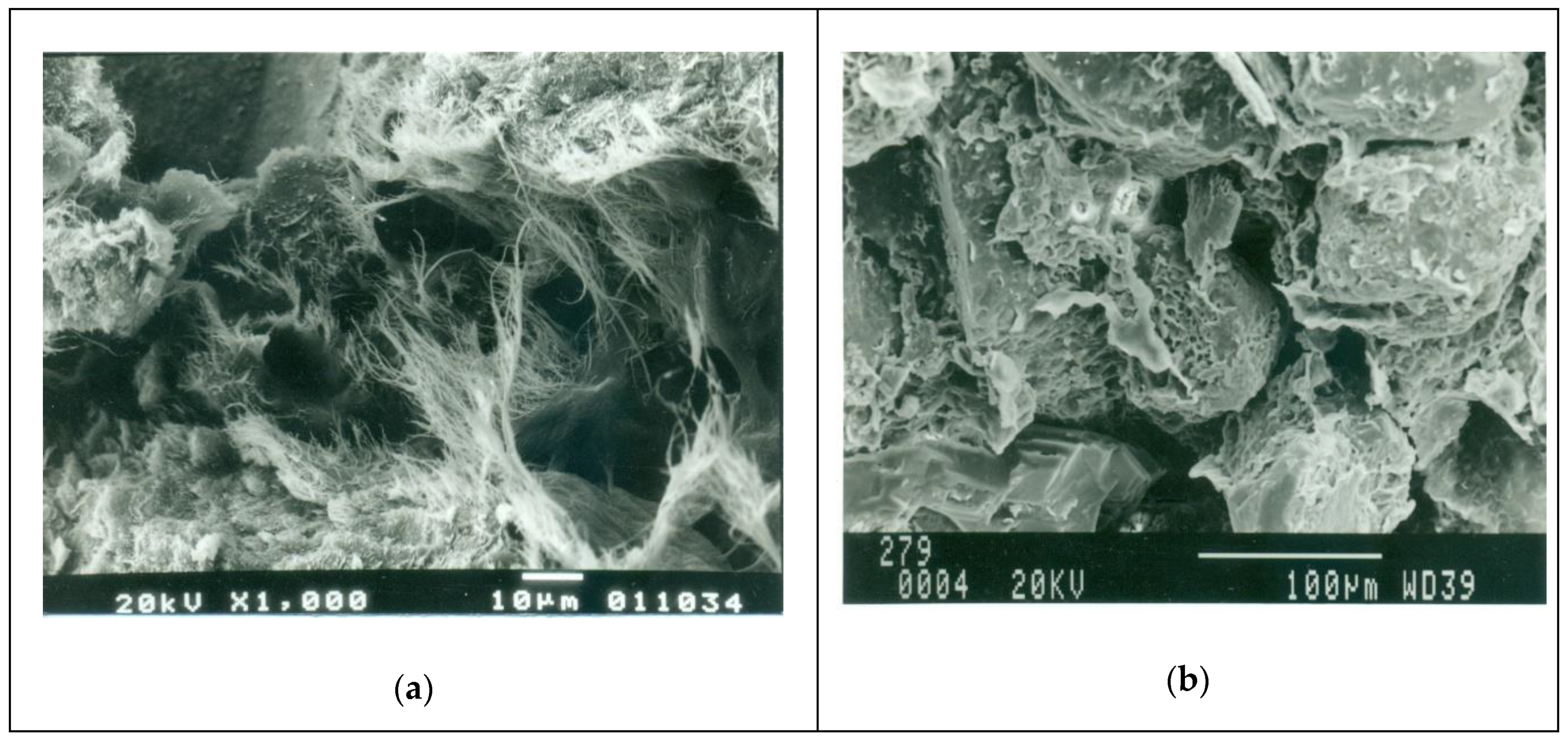 Applsci 10 09016 g006a