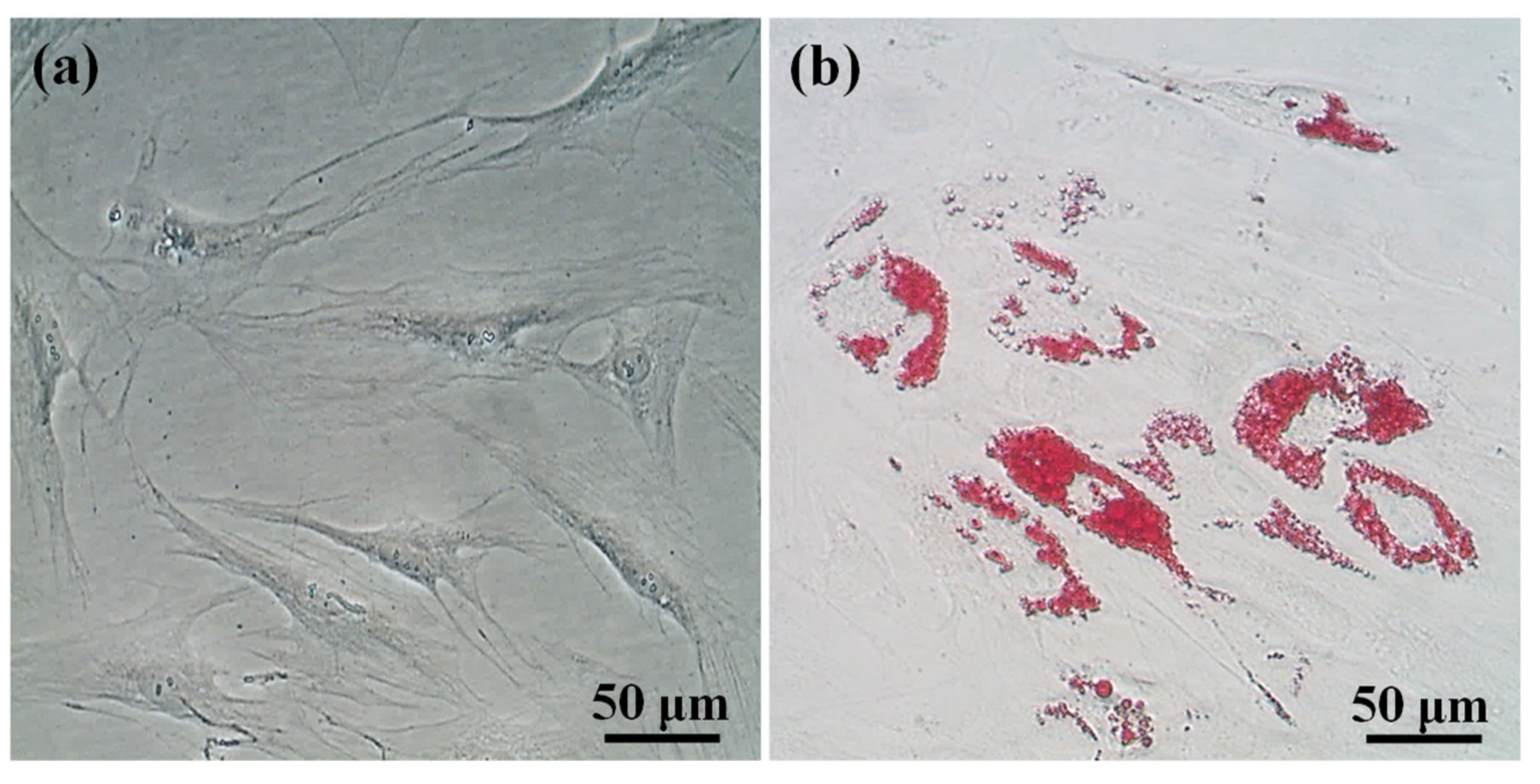 Applsci 10 09035 g003