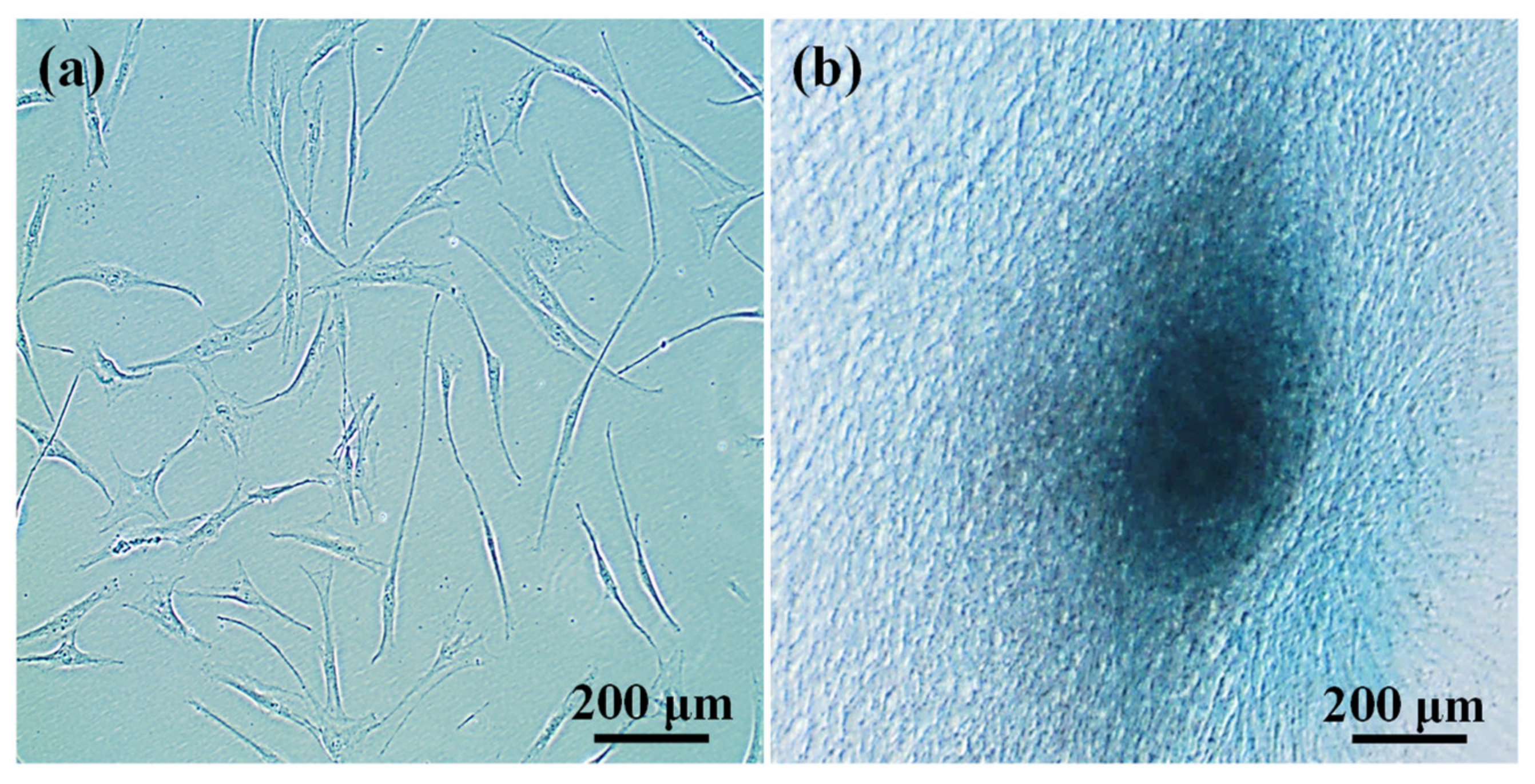 Applsci 10 09035 g004