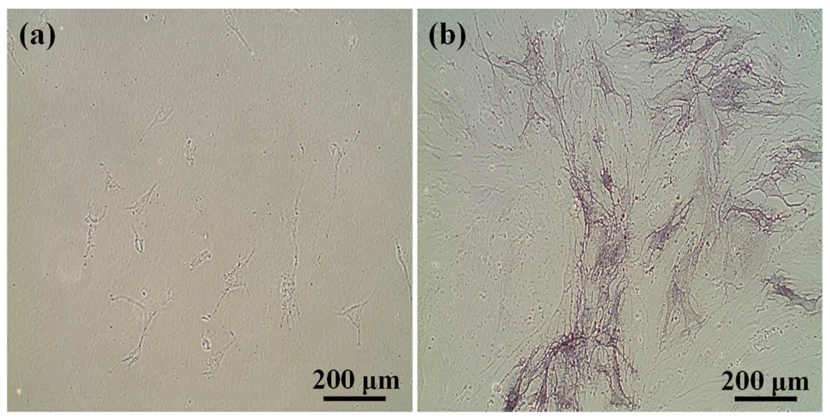 Applsci 10 09035 g005