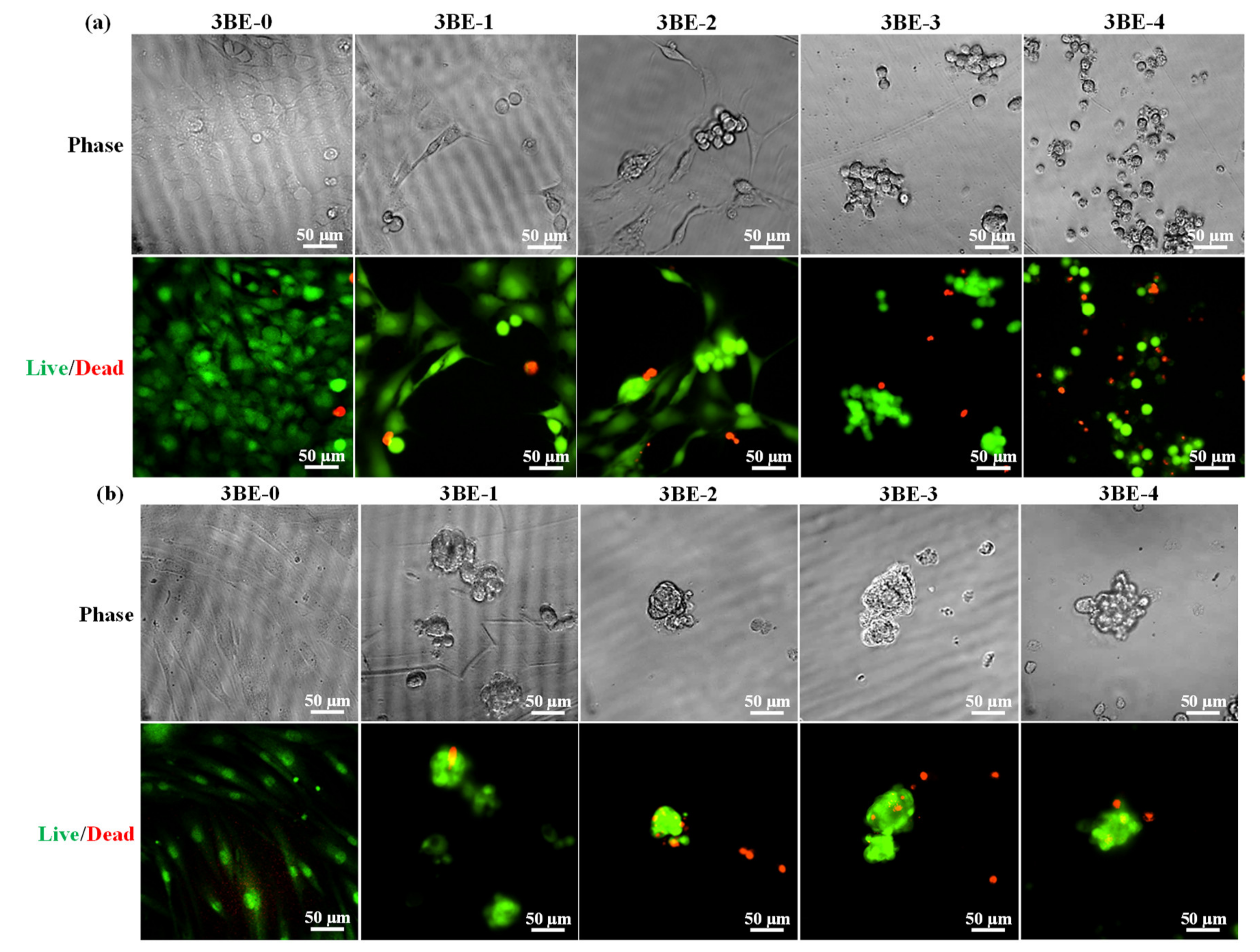Applsci 10 09035 g007