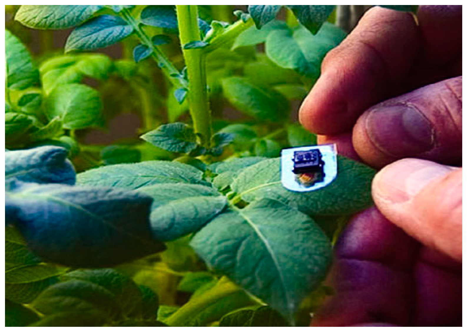 Applsci 10 09037 g002