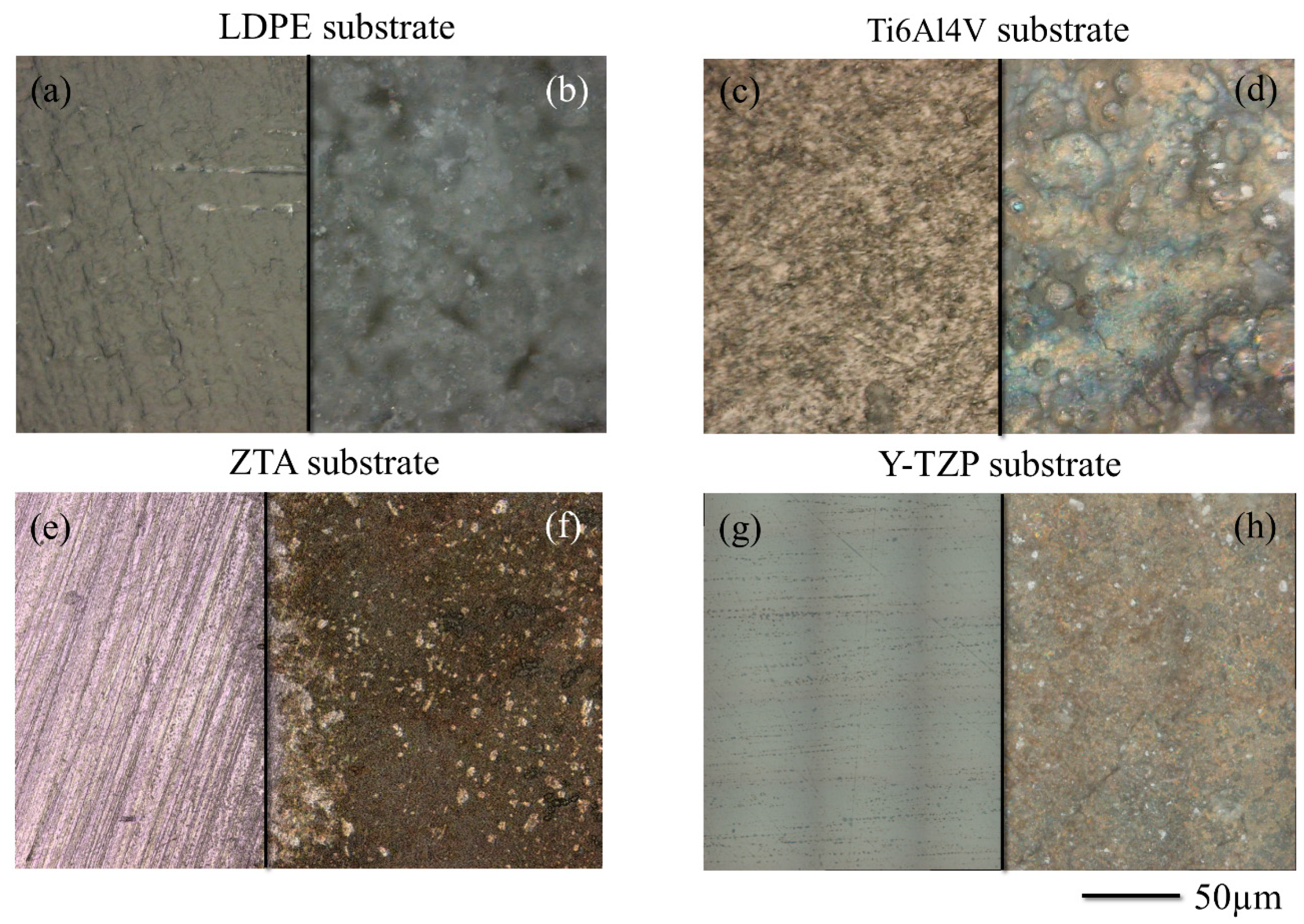 Applsci 10 09039 g001