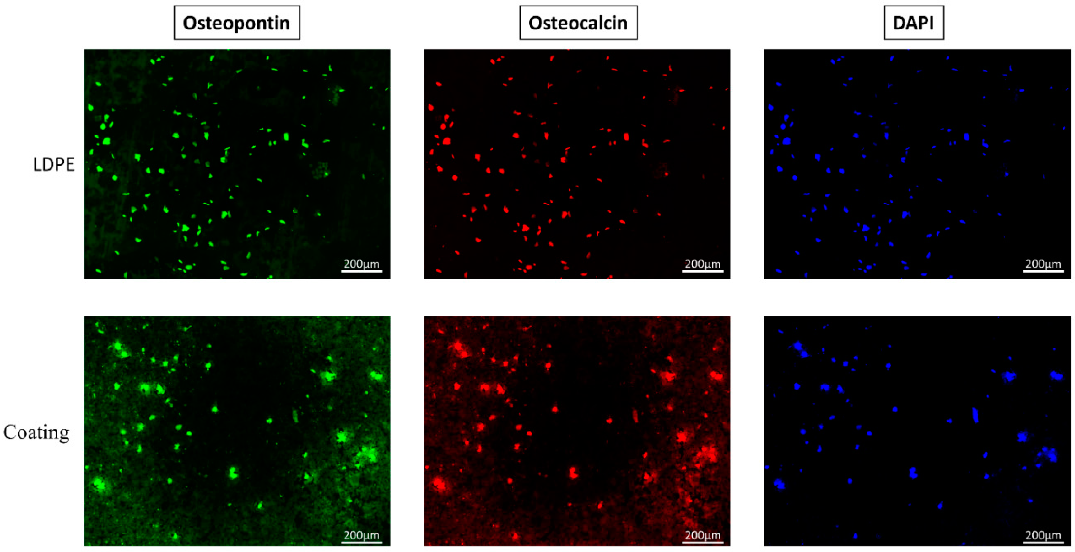 Applsci 10 09039 g008