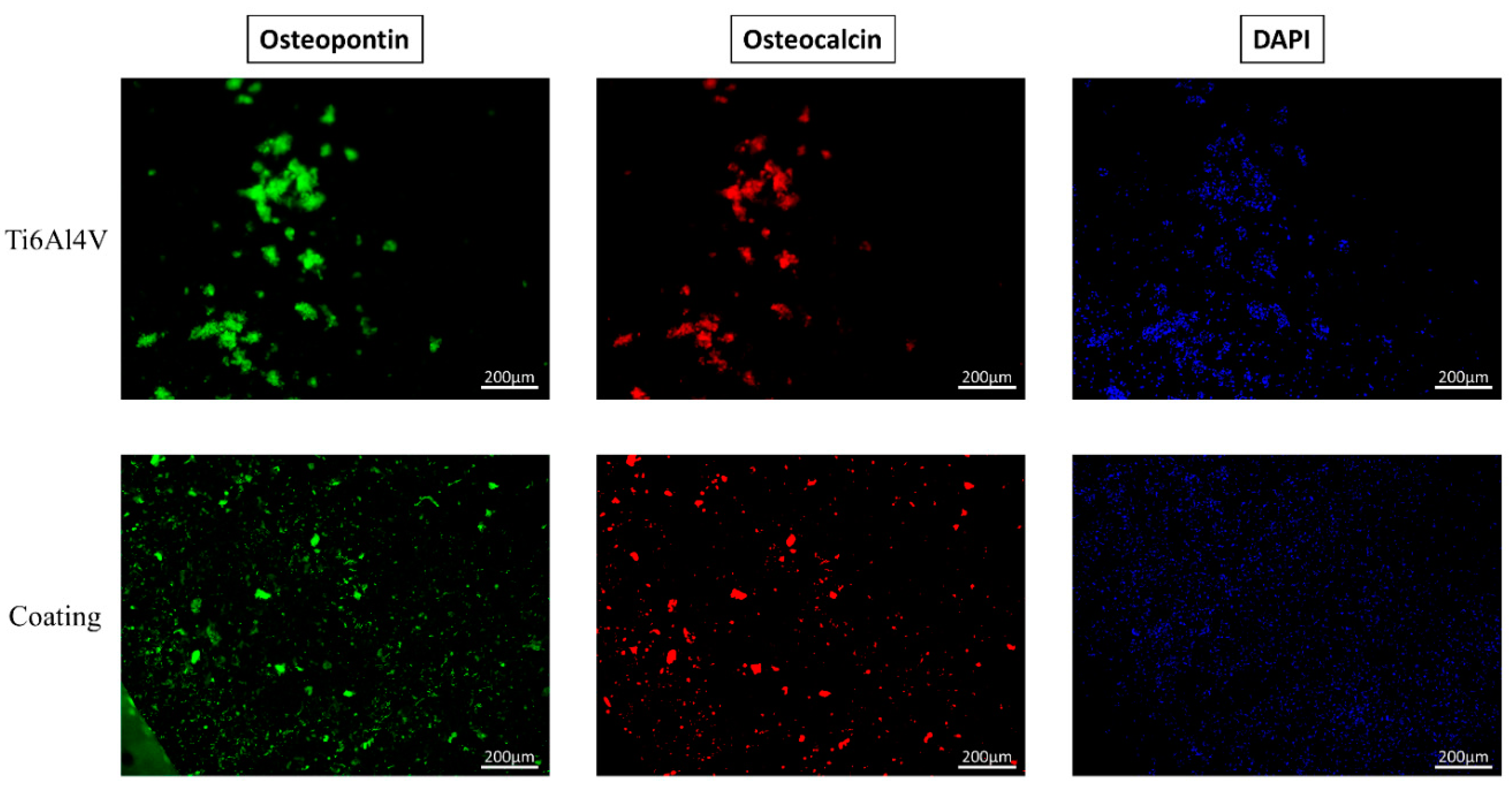 Applsci 10 09039 g009