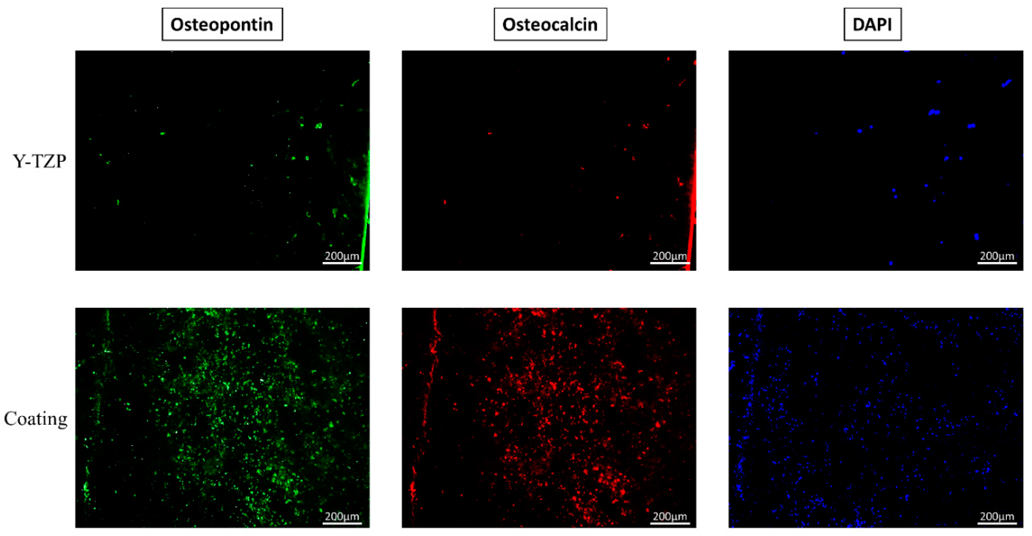 Applsci 10 09039 g010