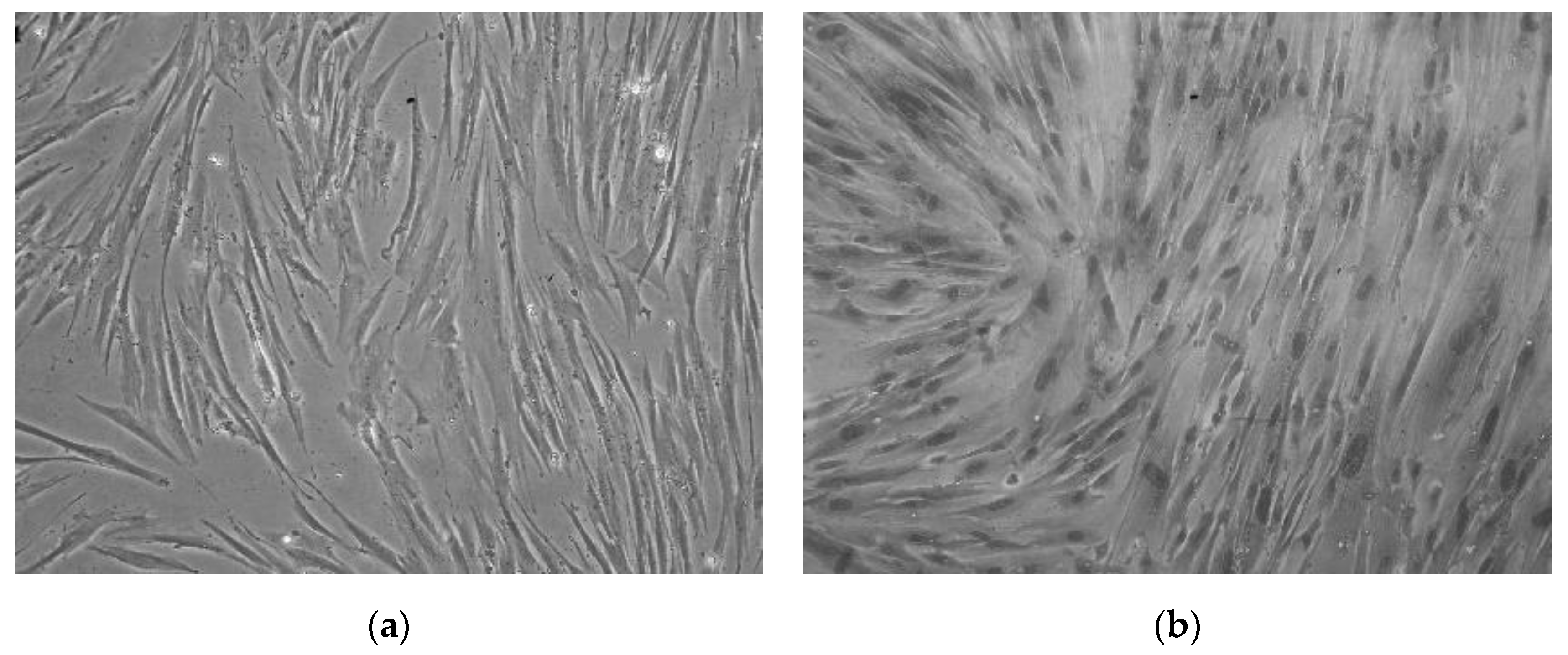 Applsci 10 09040 g001