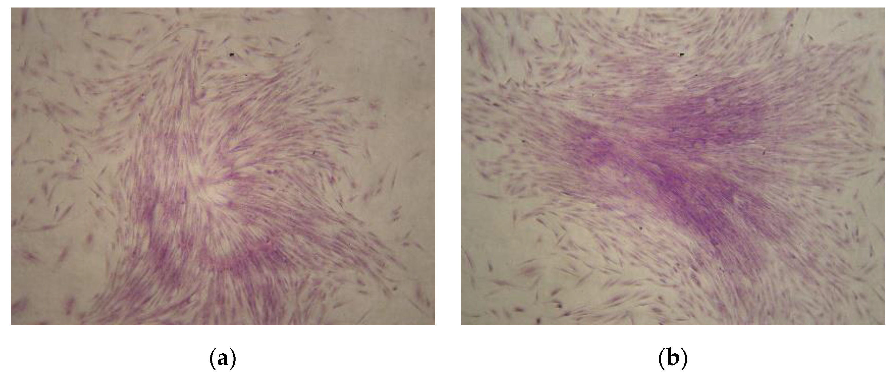 Applsci 10 09040 g002