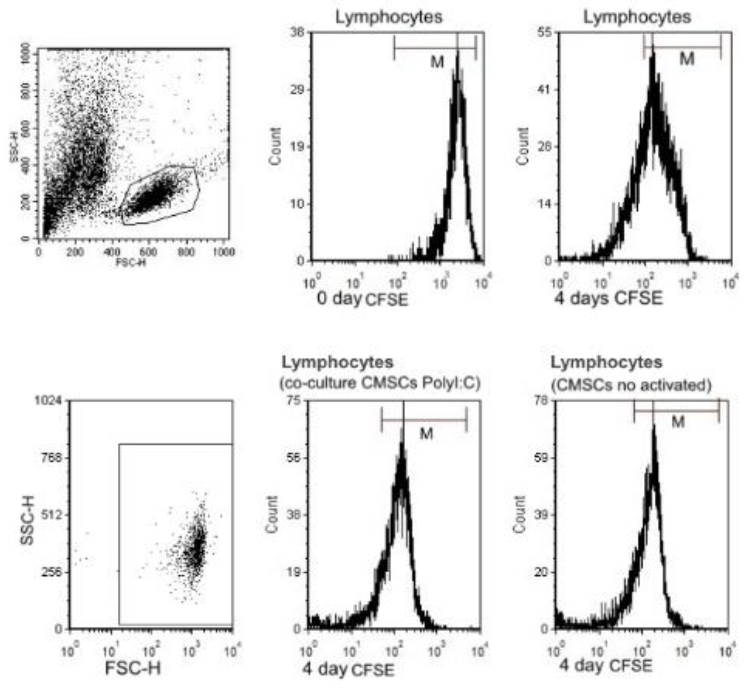 Applsci 10 09040 g006