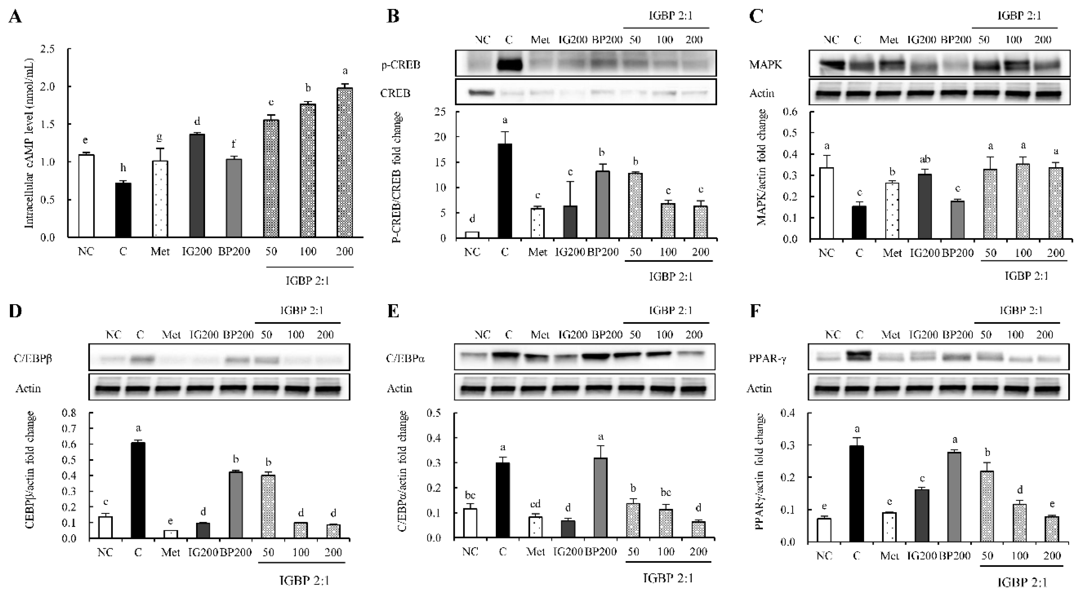 Applsci 10 09078 g001