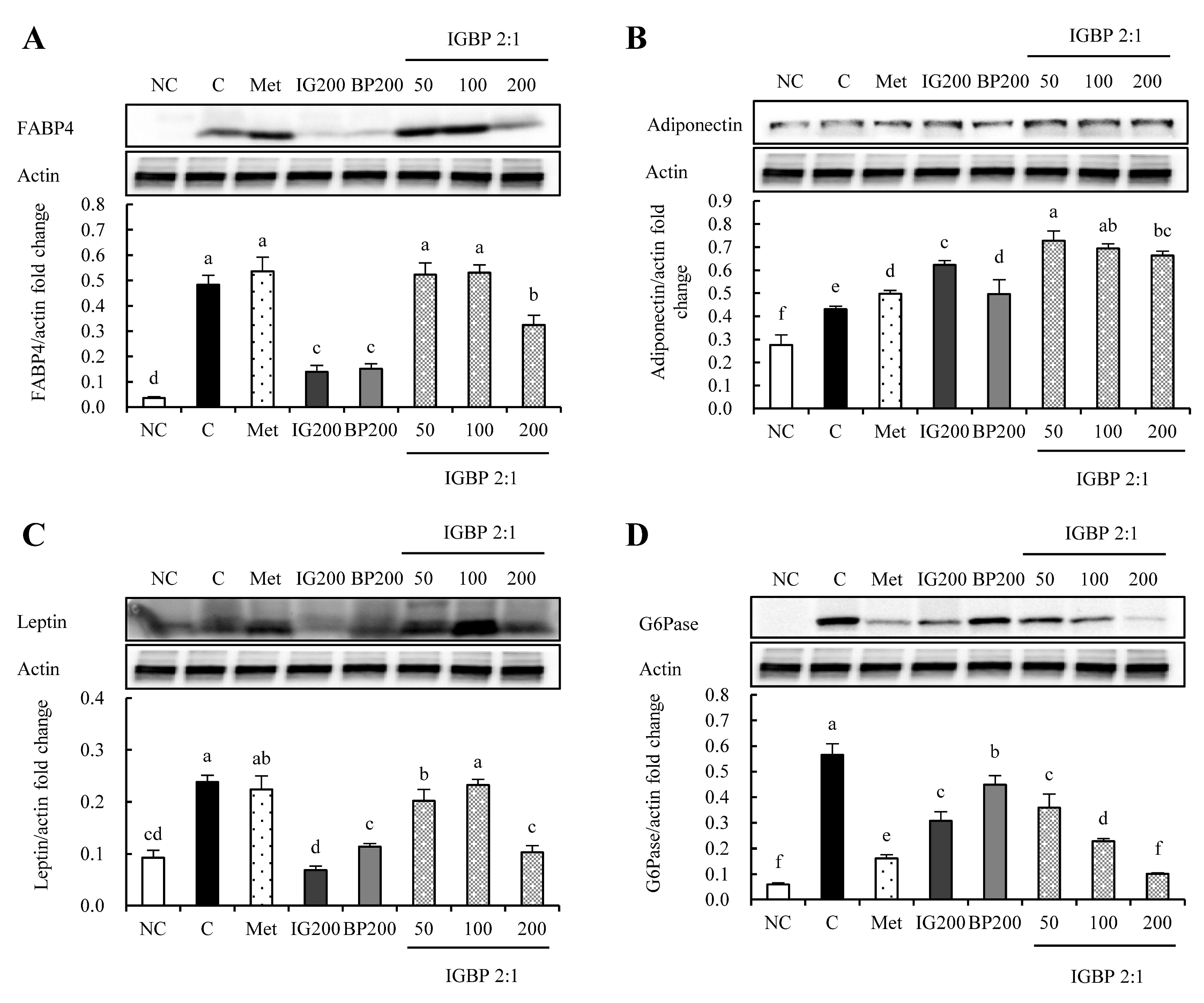 Applsci 10 09078 g002