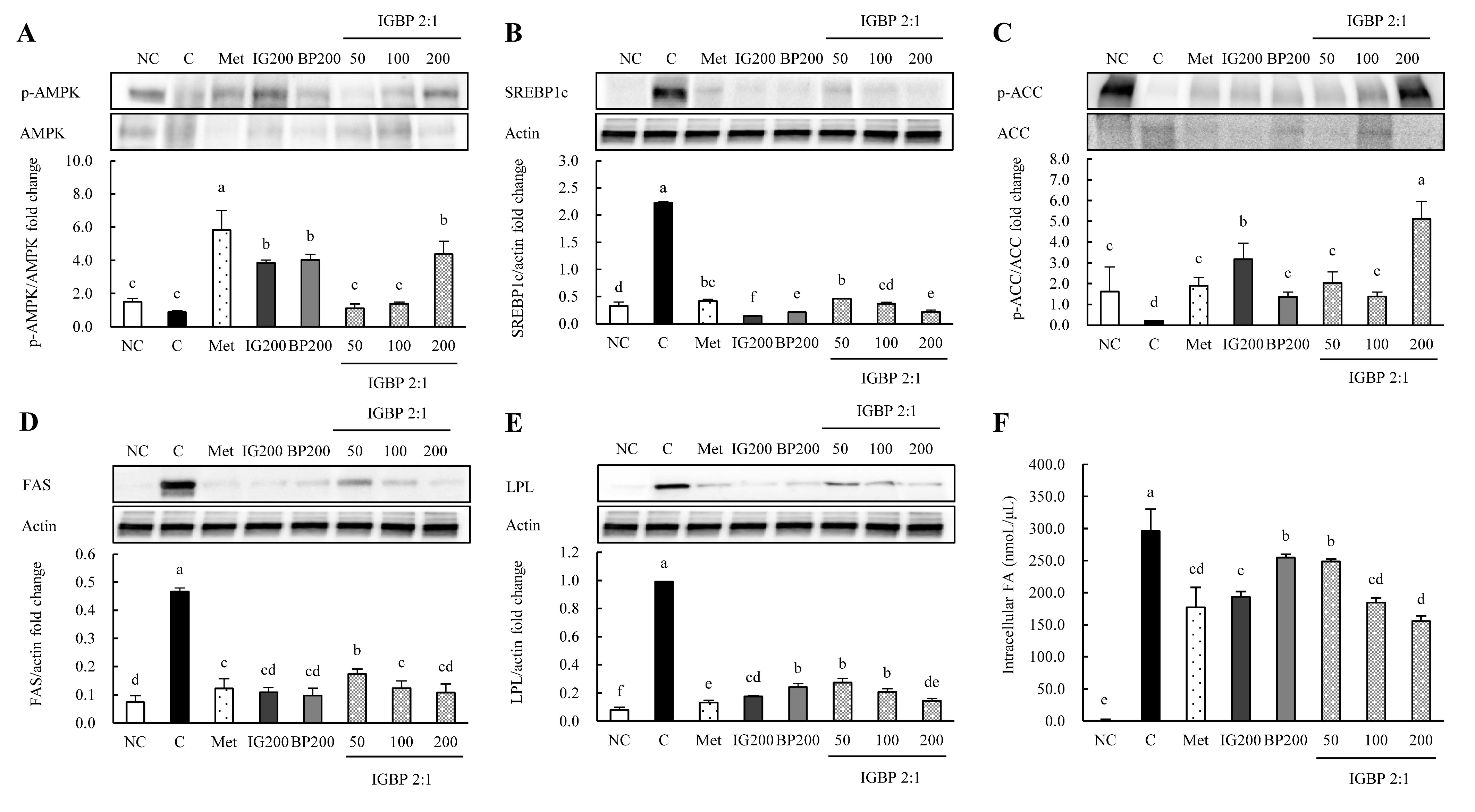 Applsci 10 09078 g004