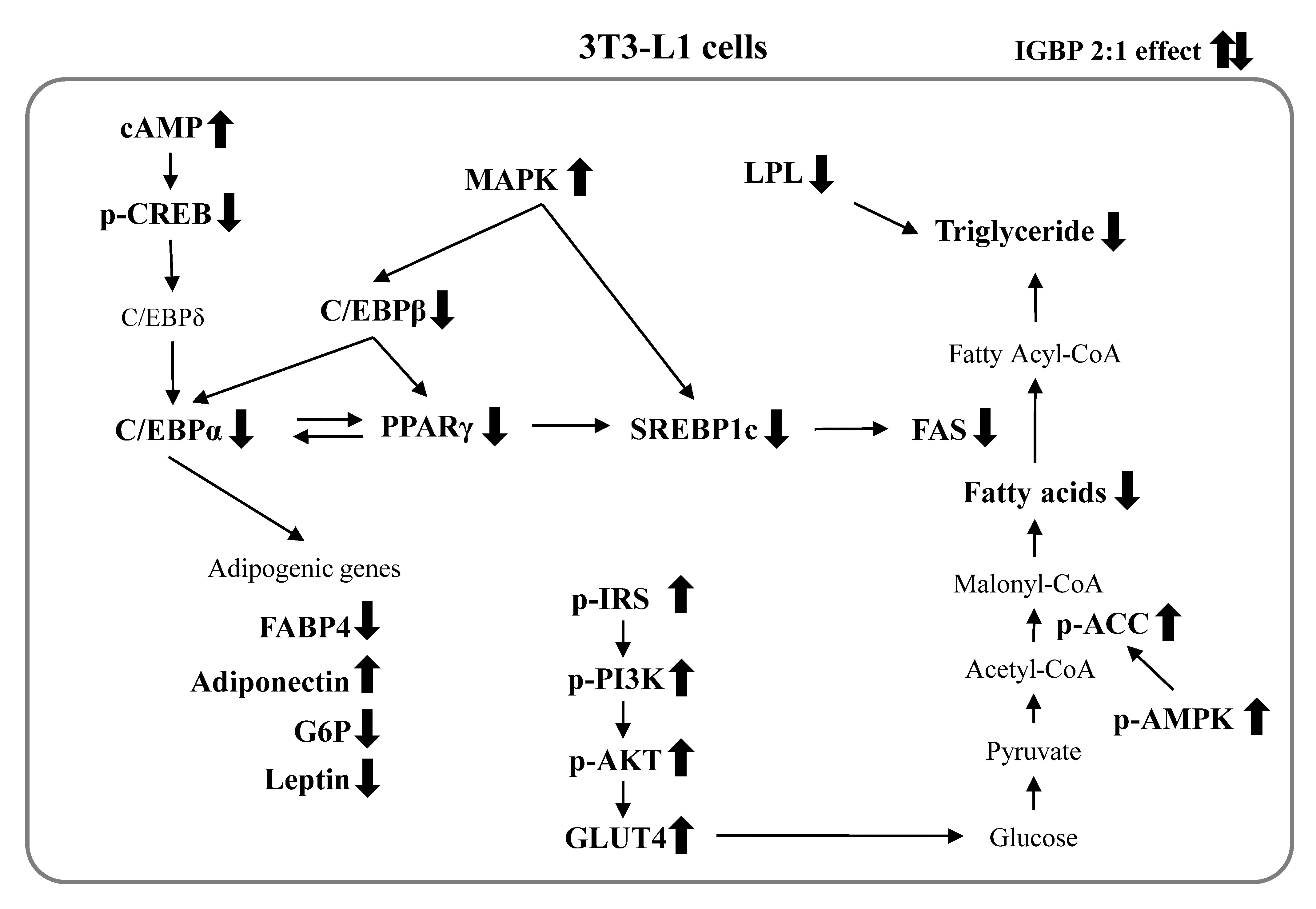 Applsci 10 09078 g006
