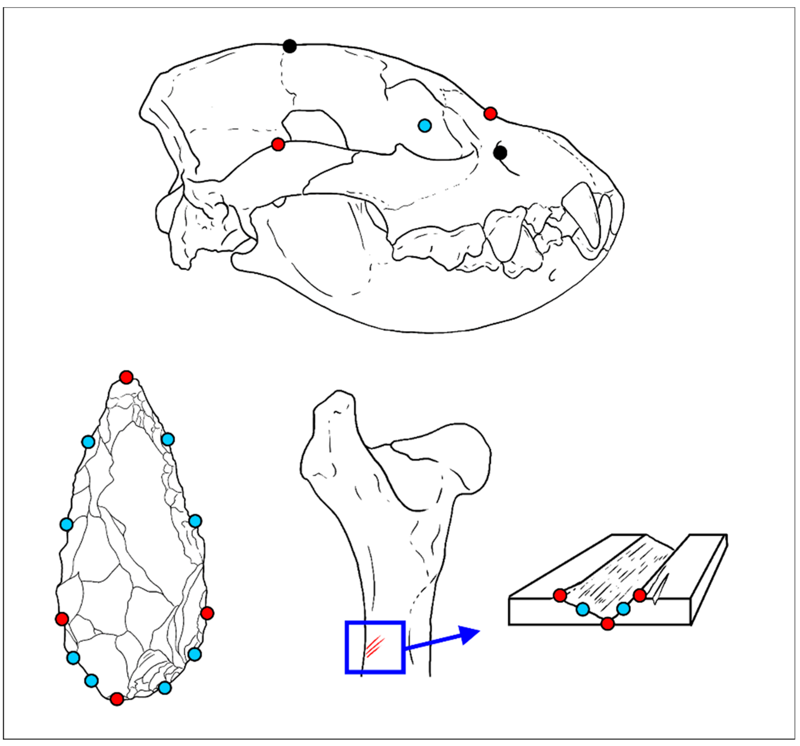 Applsci 10 09133 g001