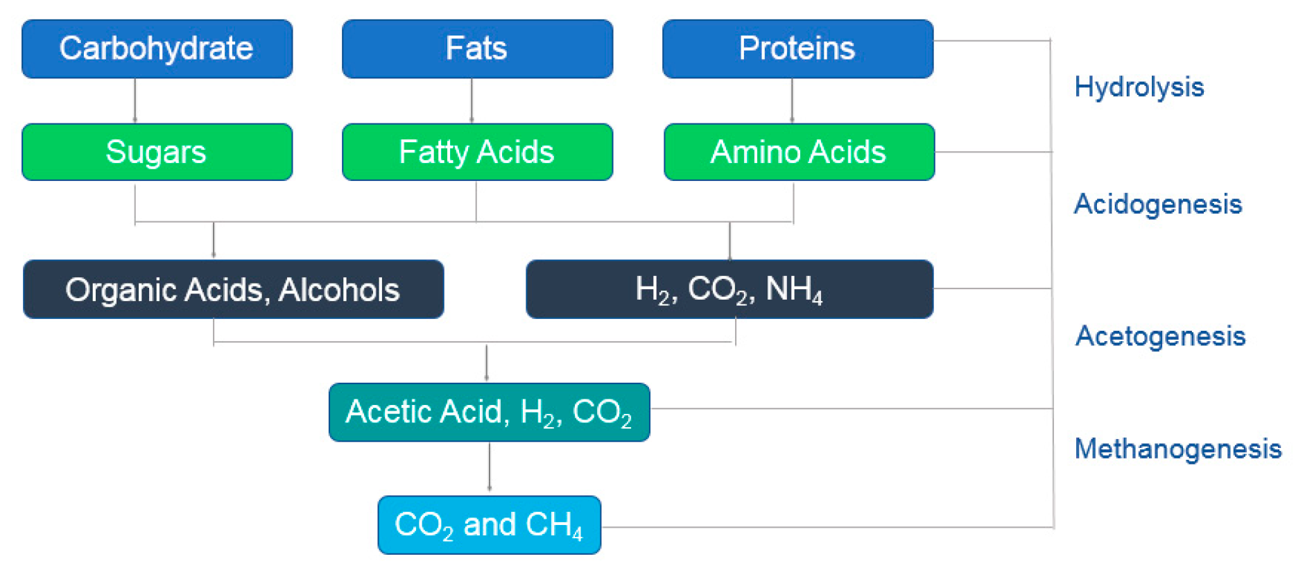 Applsci 10 09141 g002 Applsci 10 09141 g002
