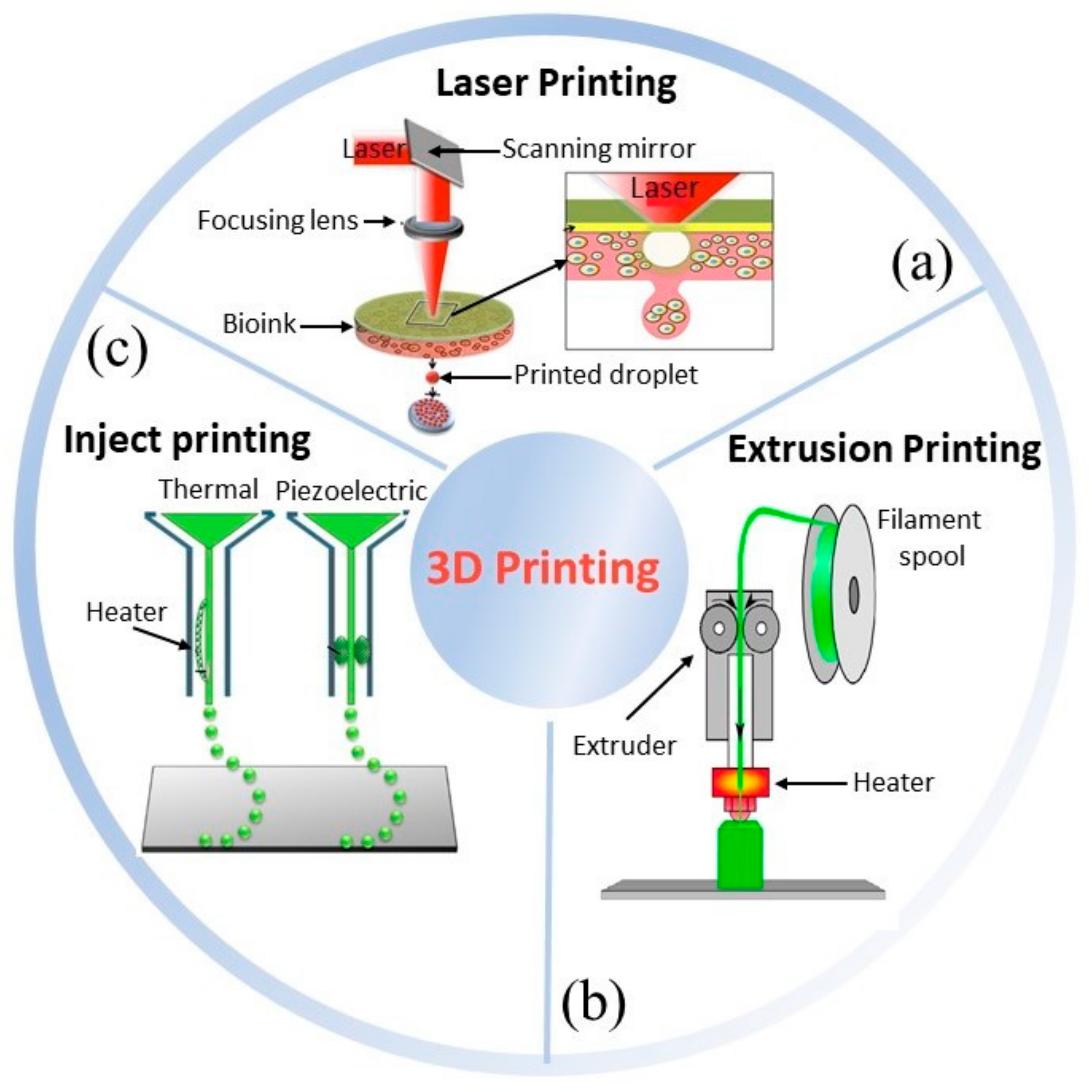 Applsci 10 09143 g001