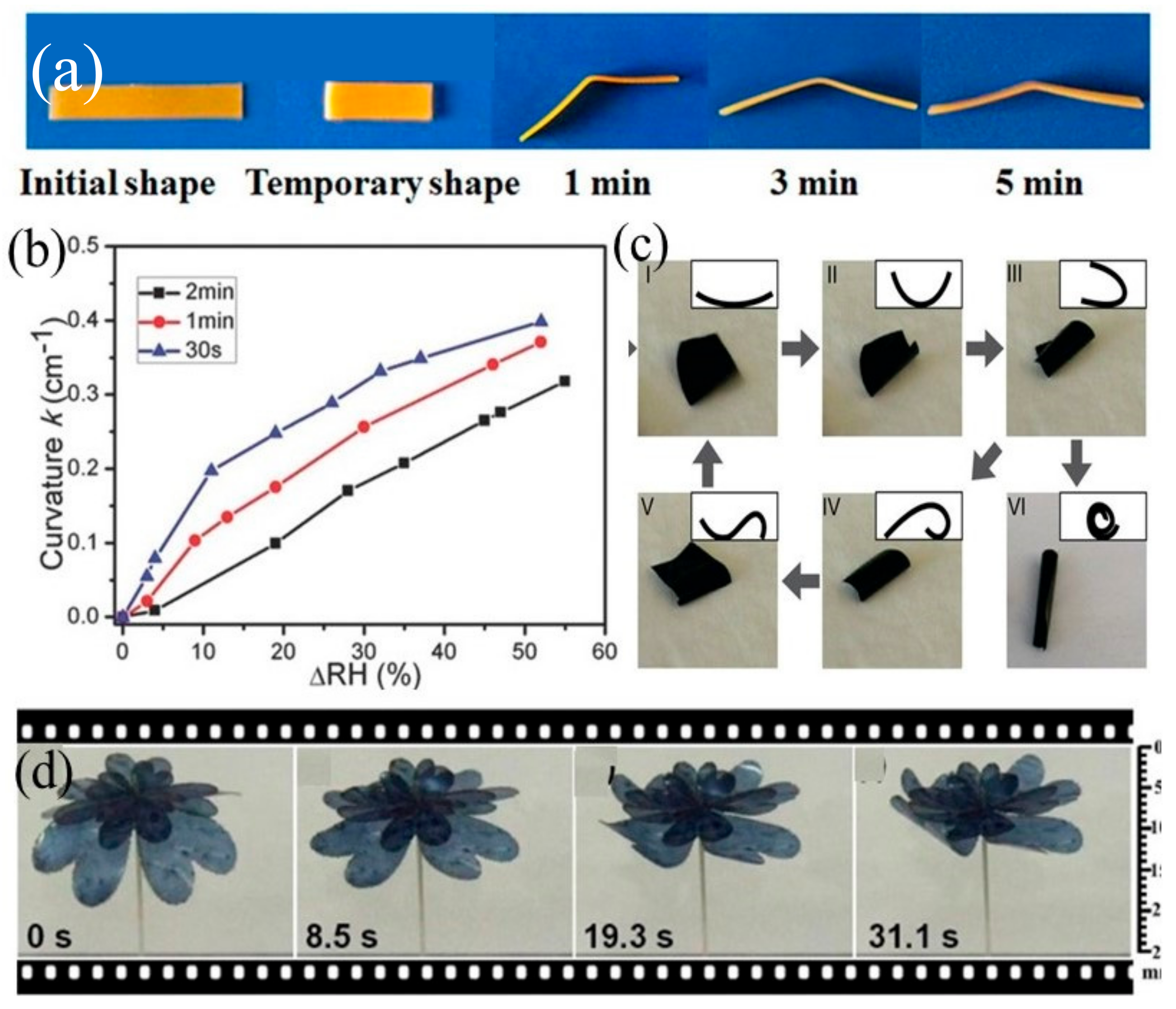Applsci 10 09143 g003