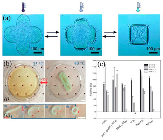 Applsci 10 09143 g004
