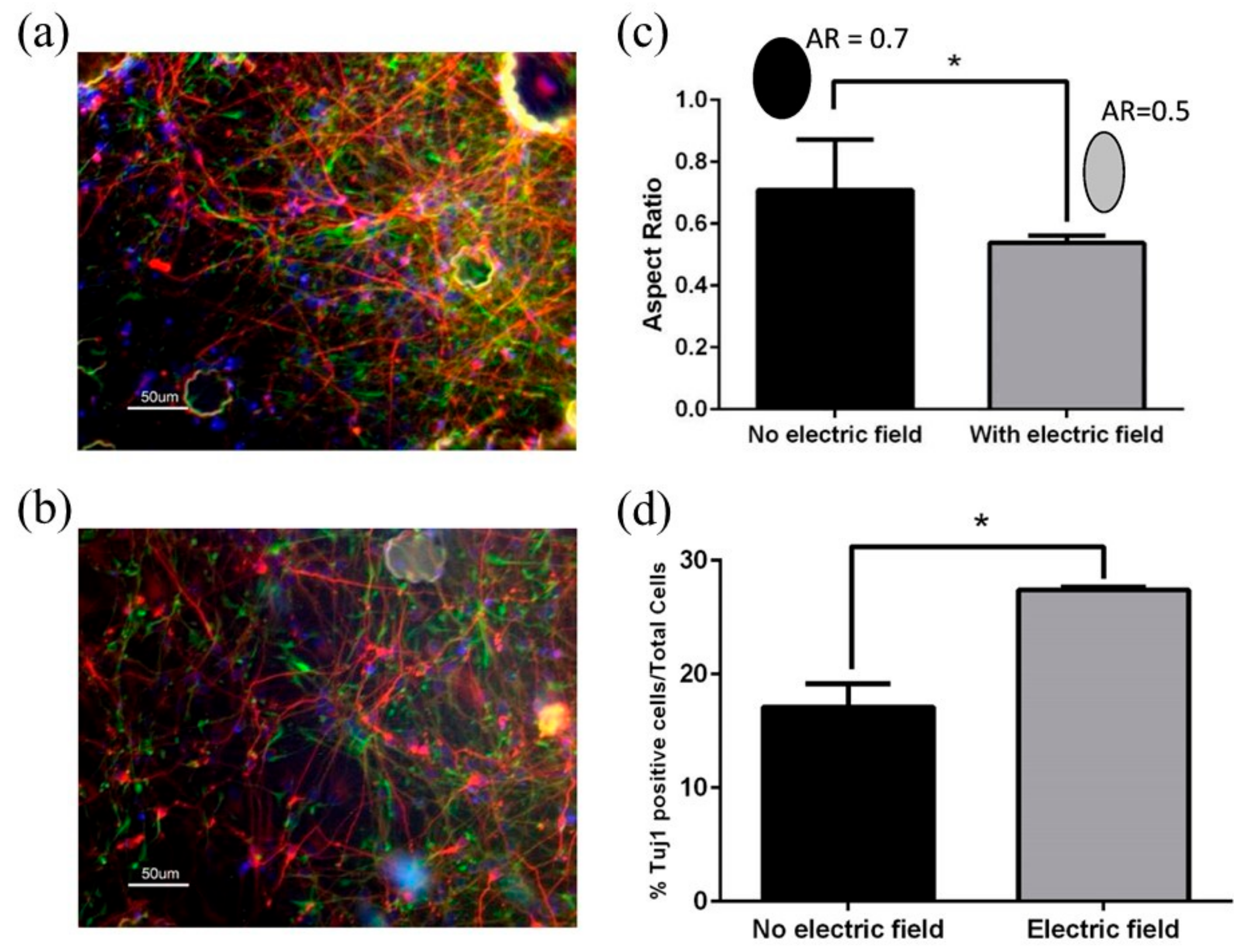 Applsci 10 09143 g005