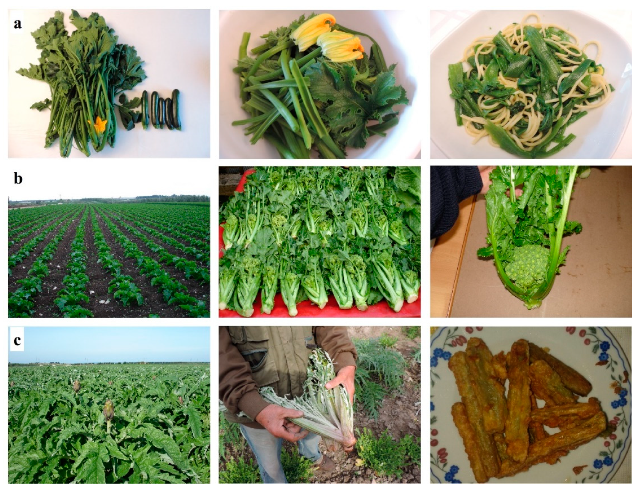 Applsci 10 09144 g001