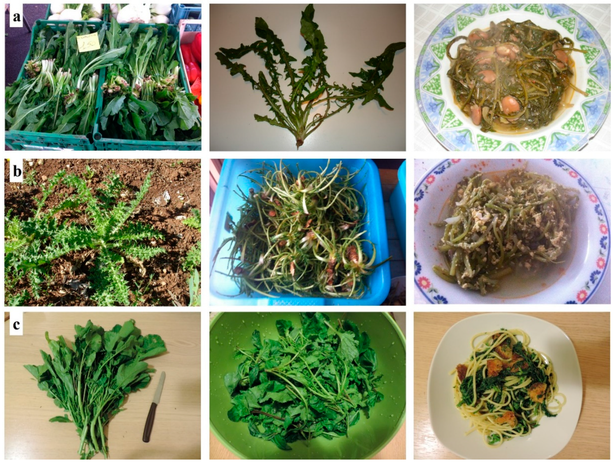 Applsci 10 09144 g002