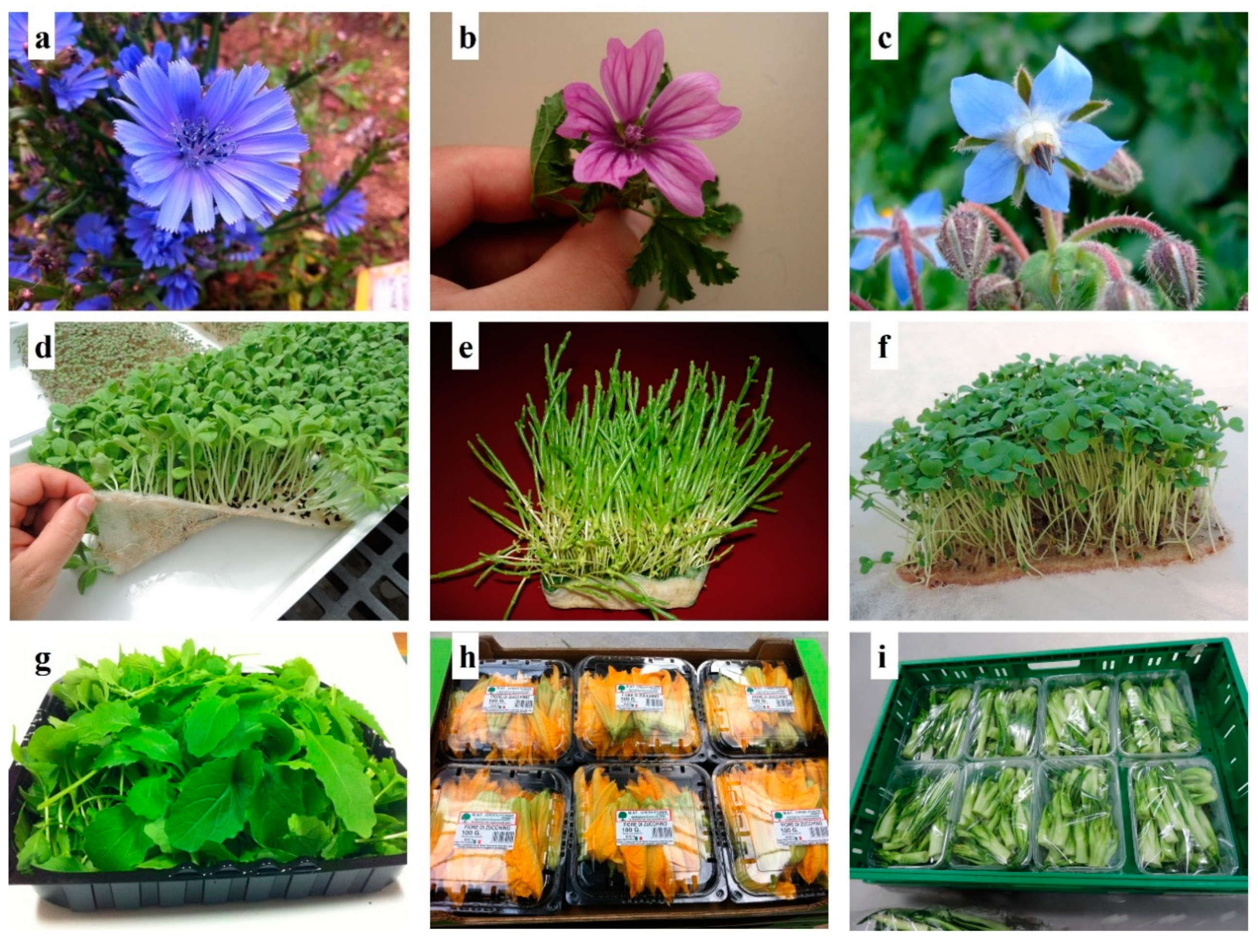 Applsci 10 09144 g003