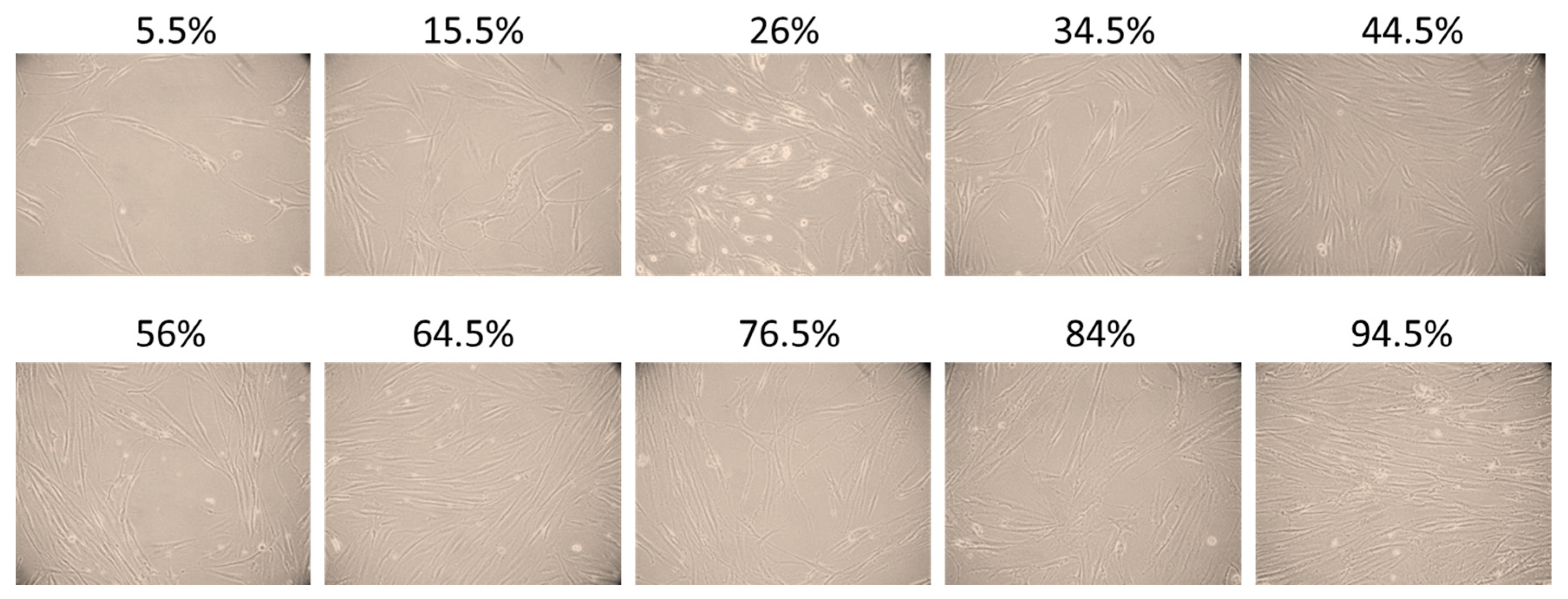 Applsci 10 09146 g001 Applsci 10 09146 g001