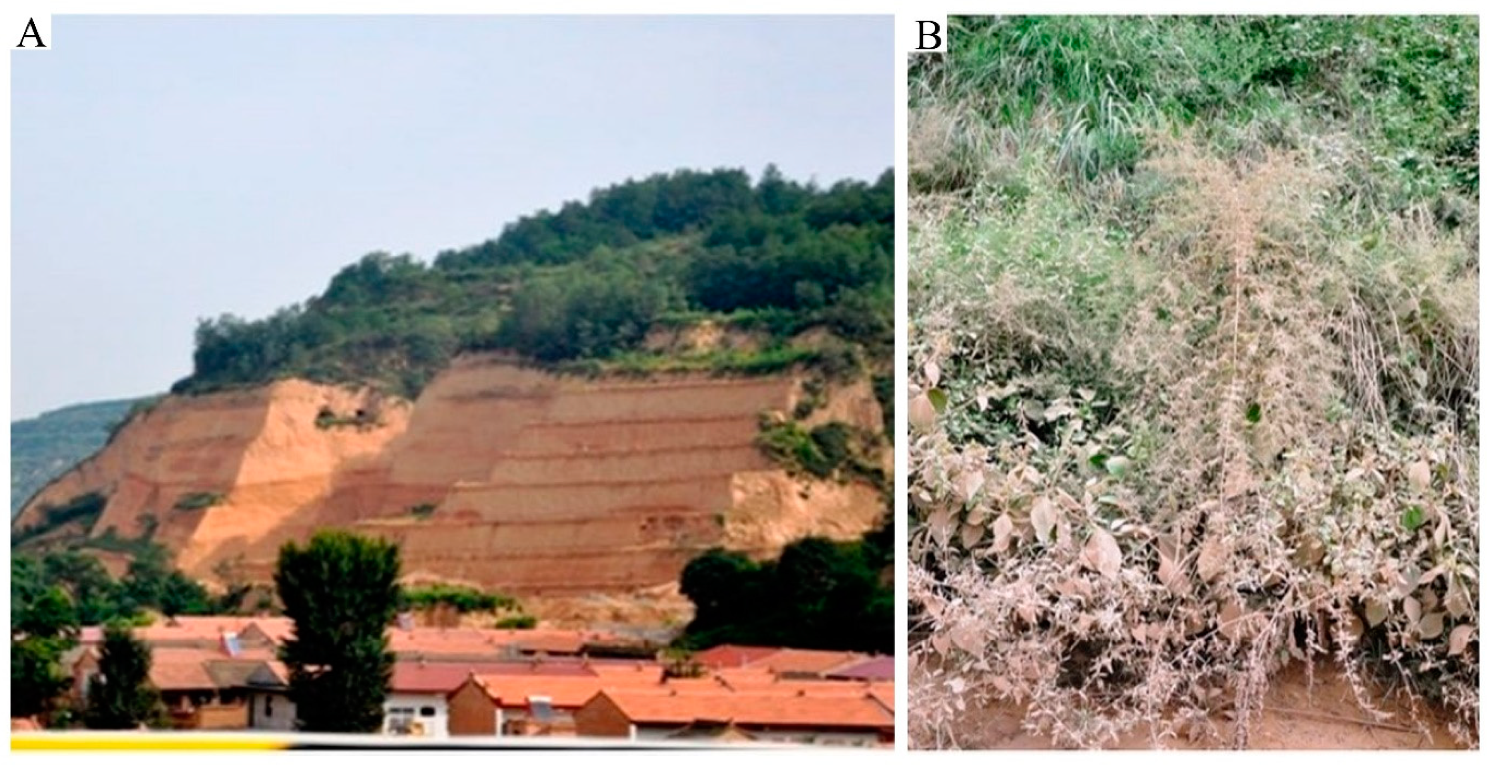 Applsci 11 00066 g001