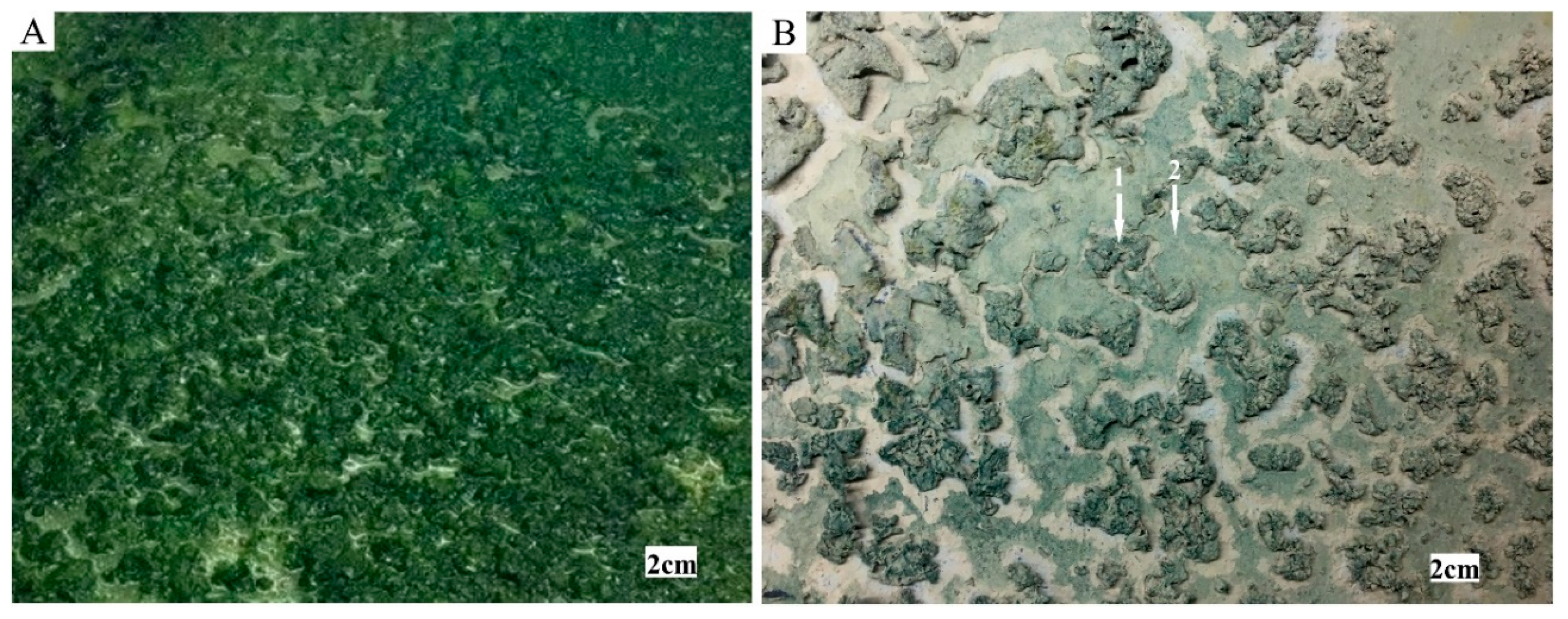 Applsci 11 00066 g003