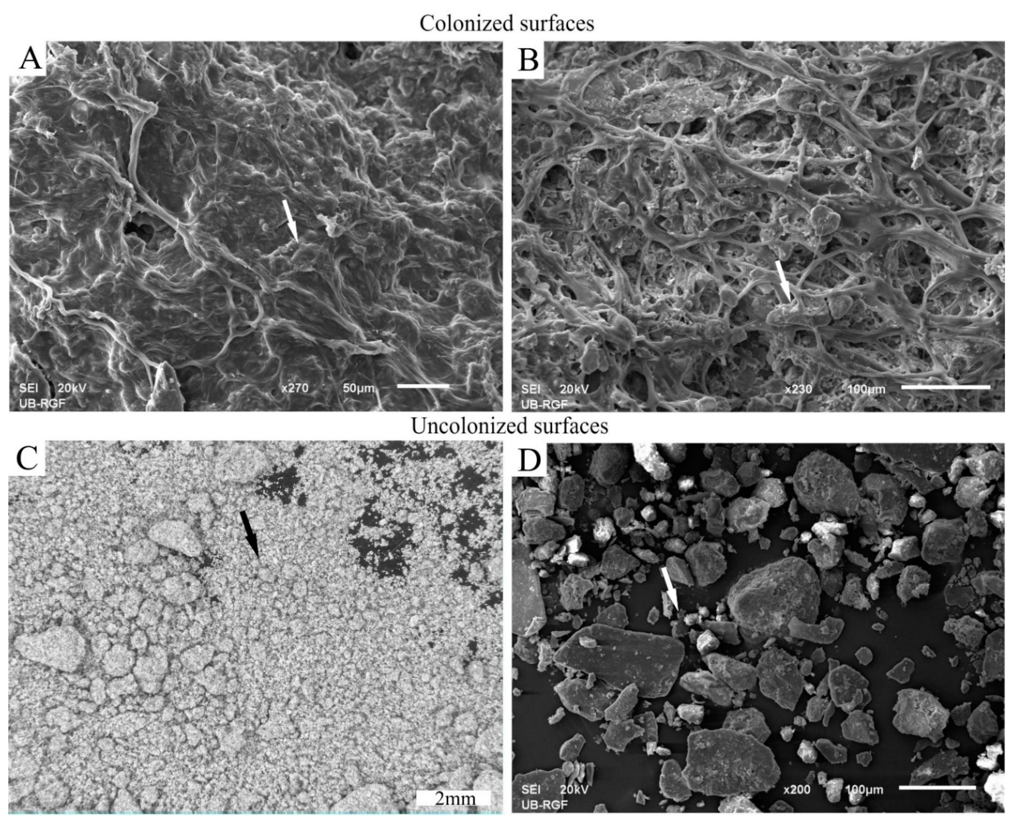 Applsci 11 00066 g006