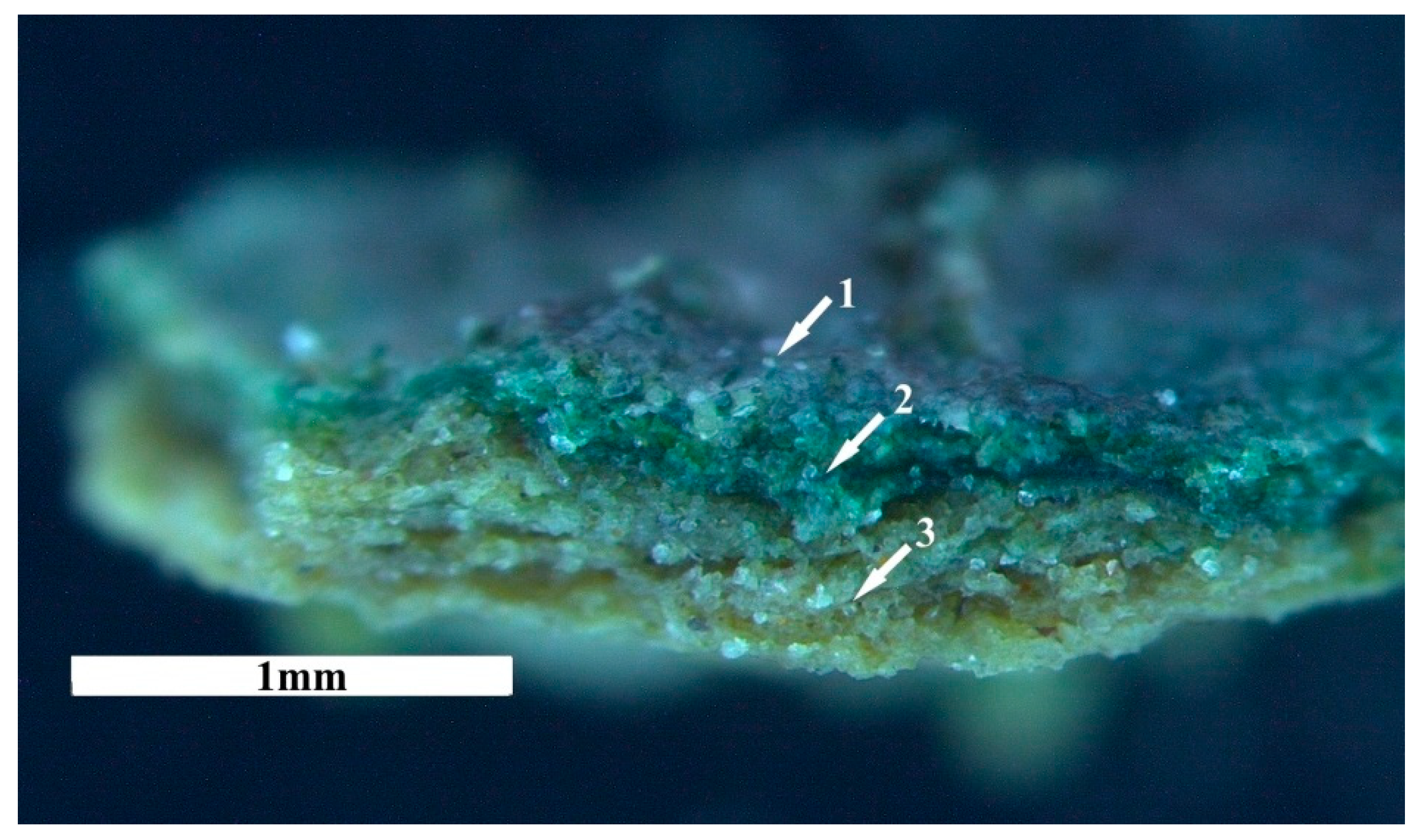 Applsci 11 00066 g007