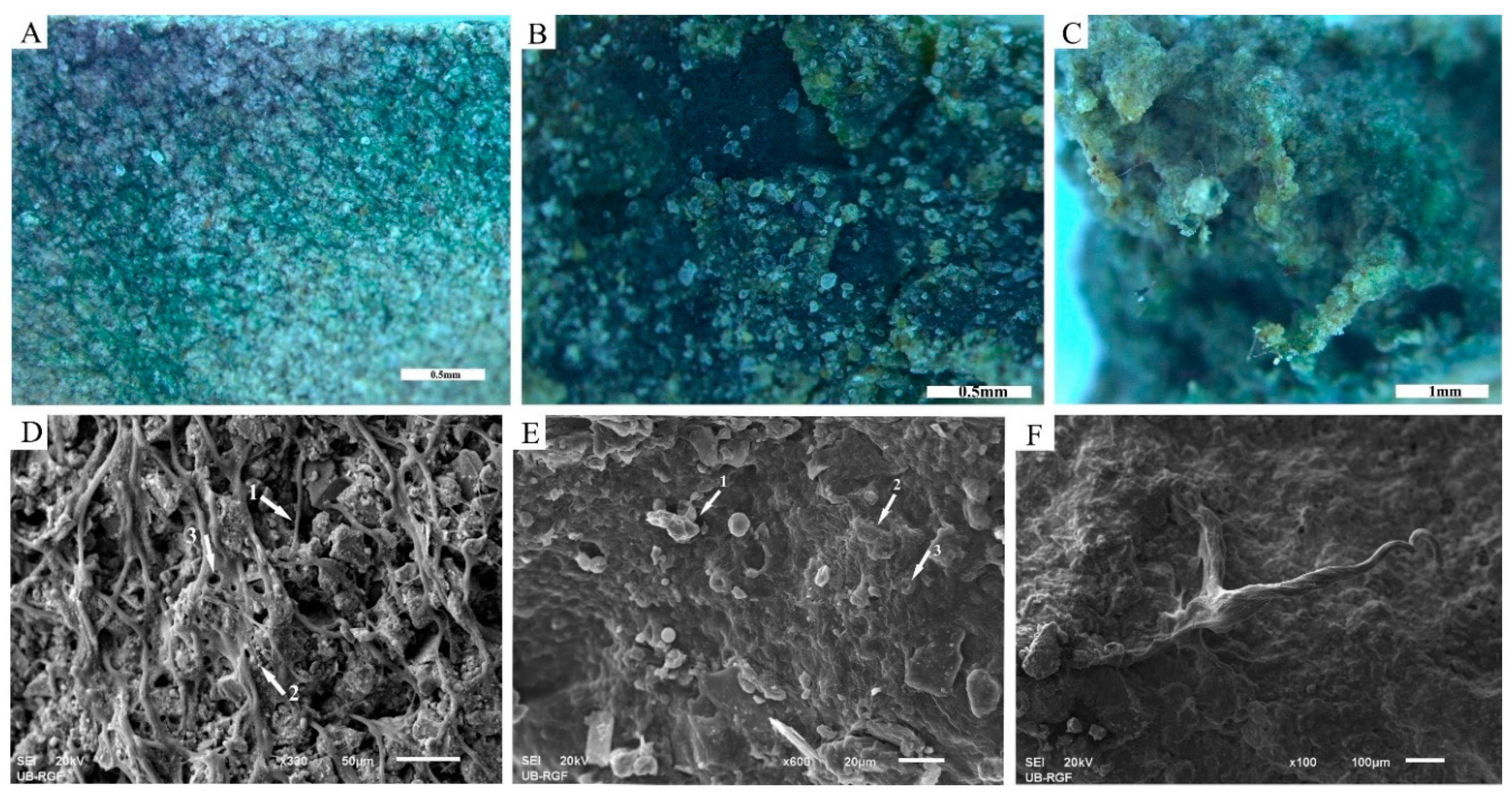 Applsci 11 00066 g008