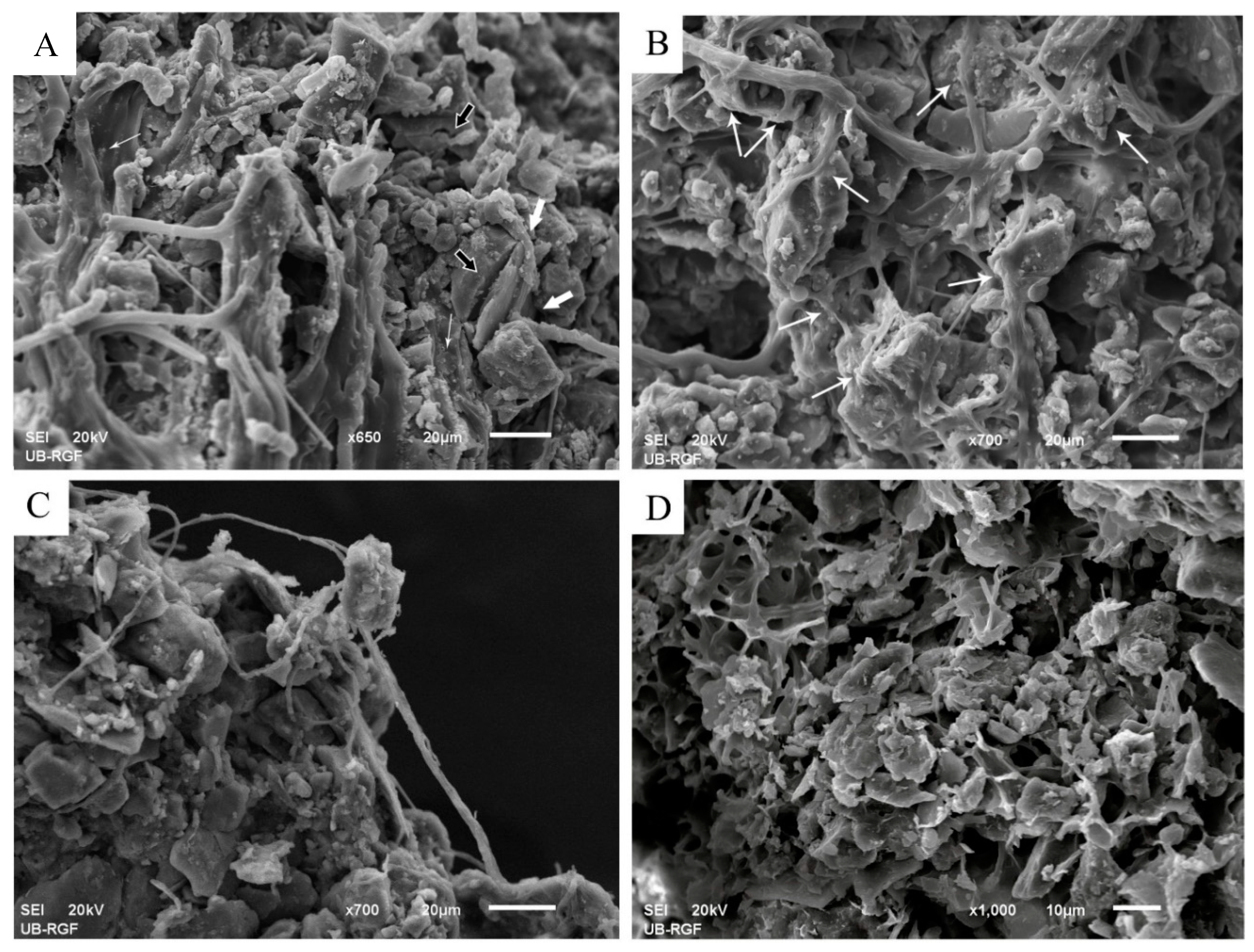 Applsci 11 00066 g009