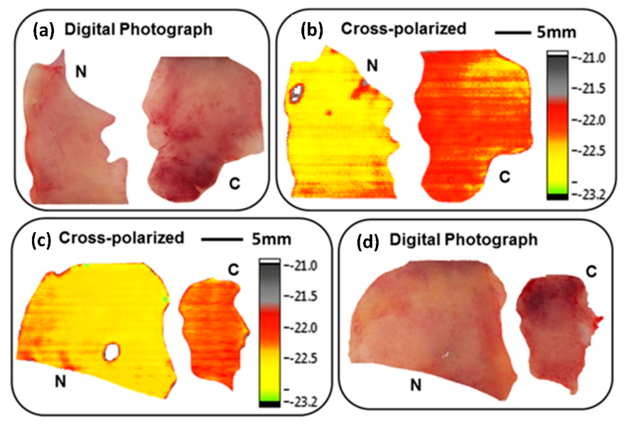 Applsci 11 00071 g014