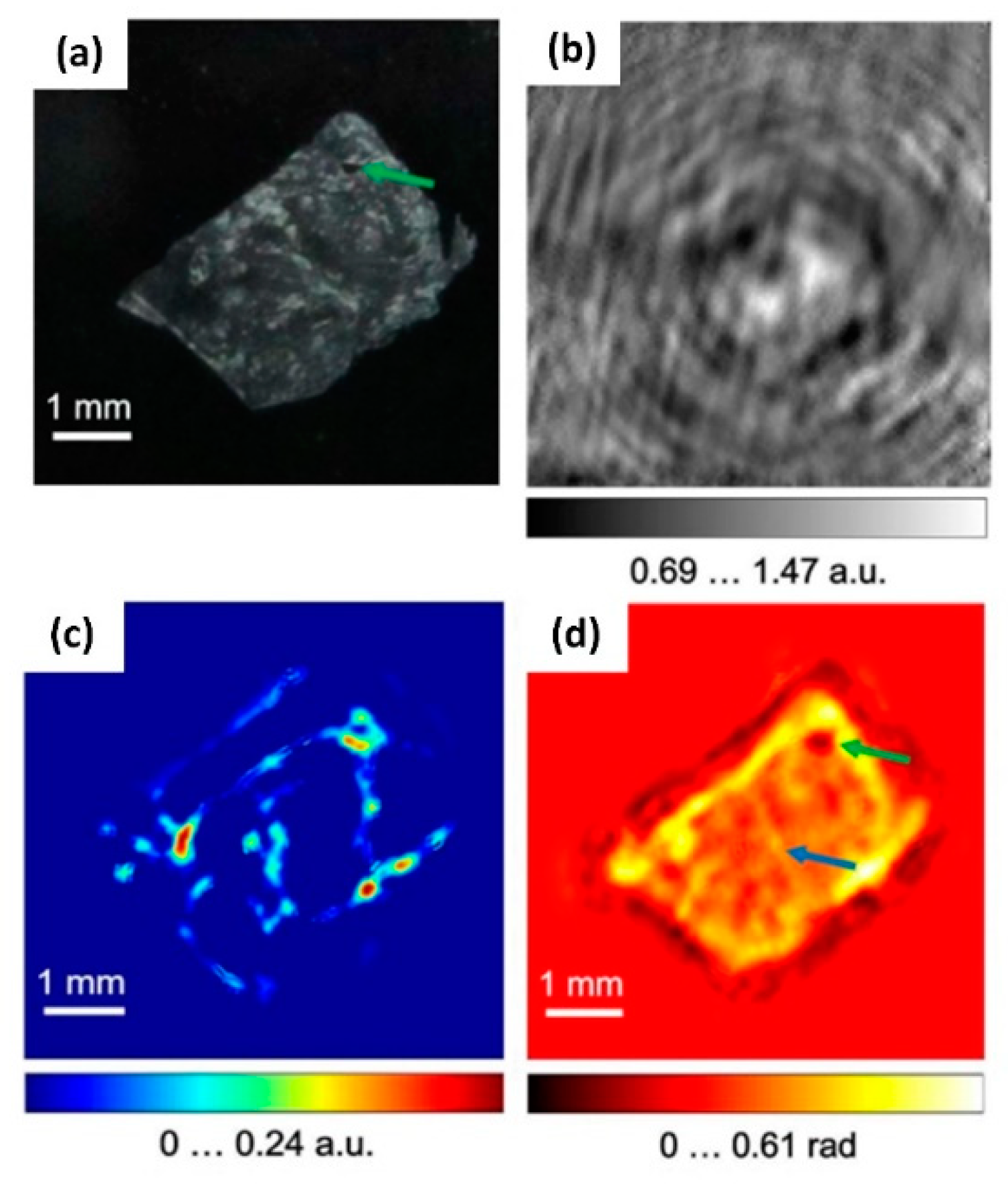 Applsci 11 00071 g015