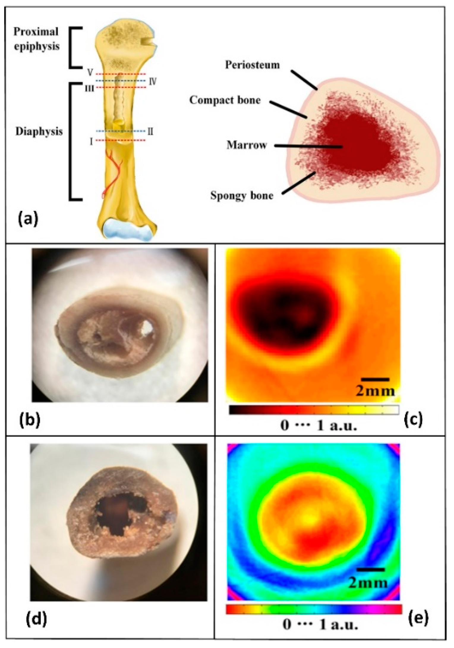 Applsci 11 00071 g016