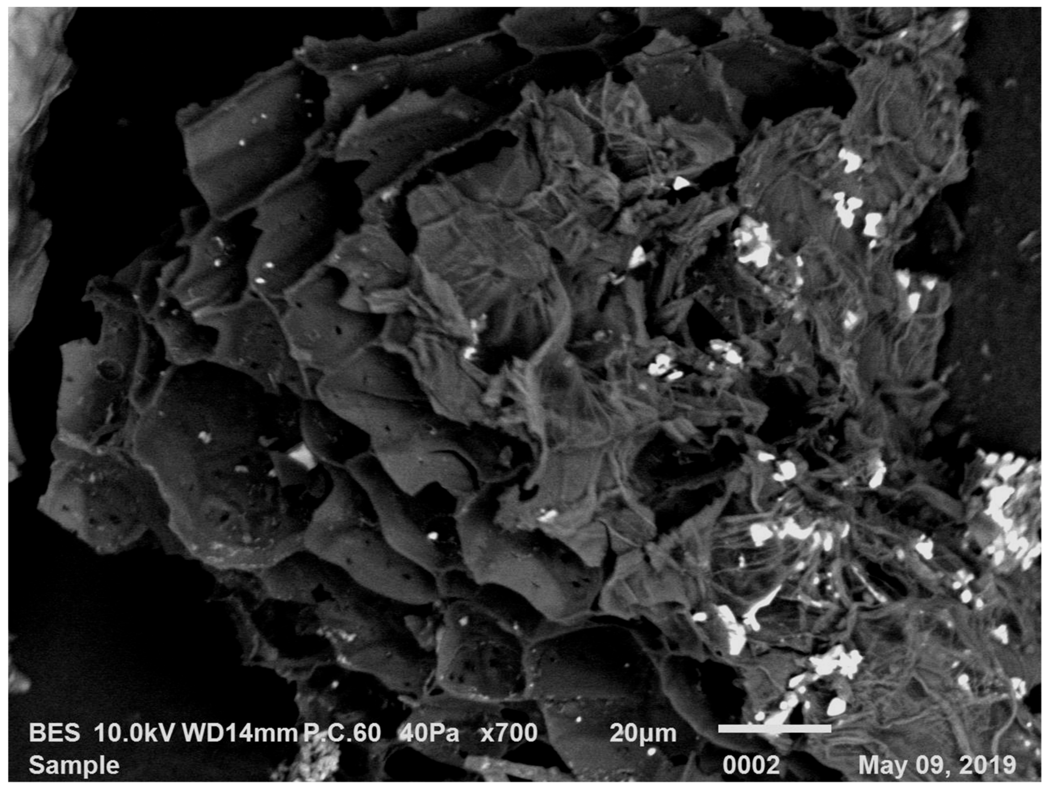 Applsci 11 00108 g001