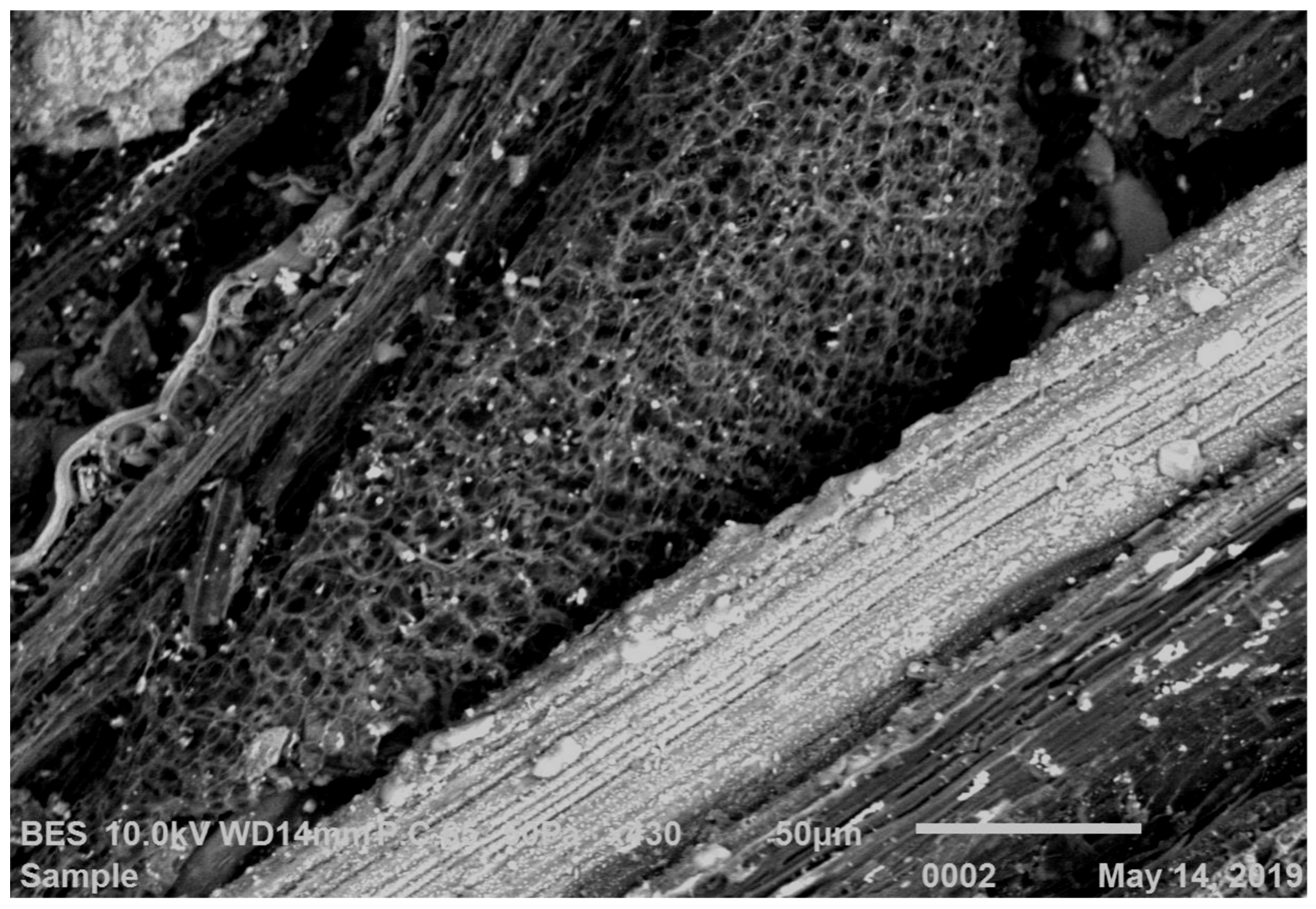 Applsci 11 00108 g002