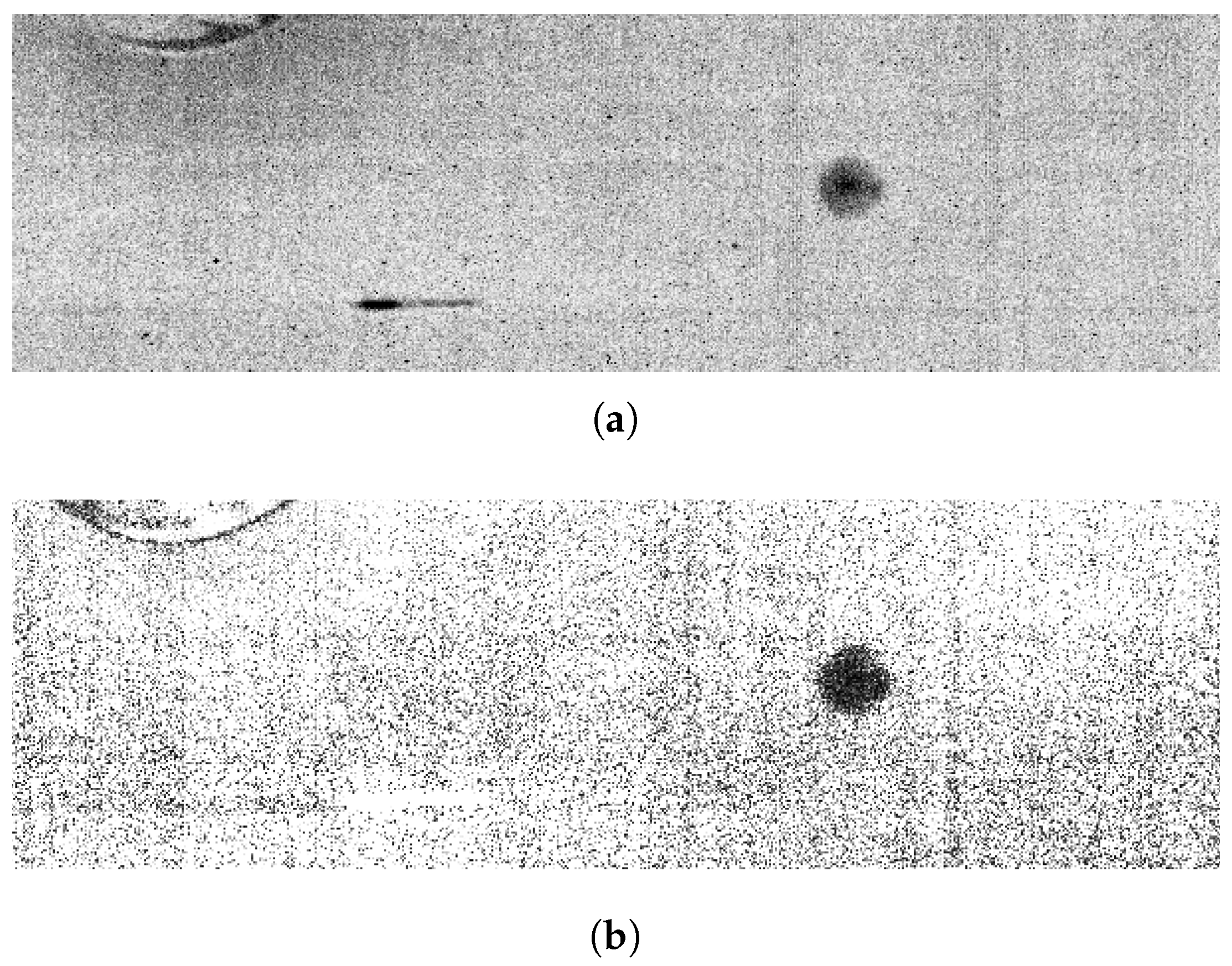 Applsci 11 00132 g009