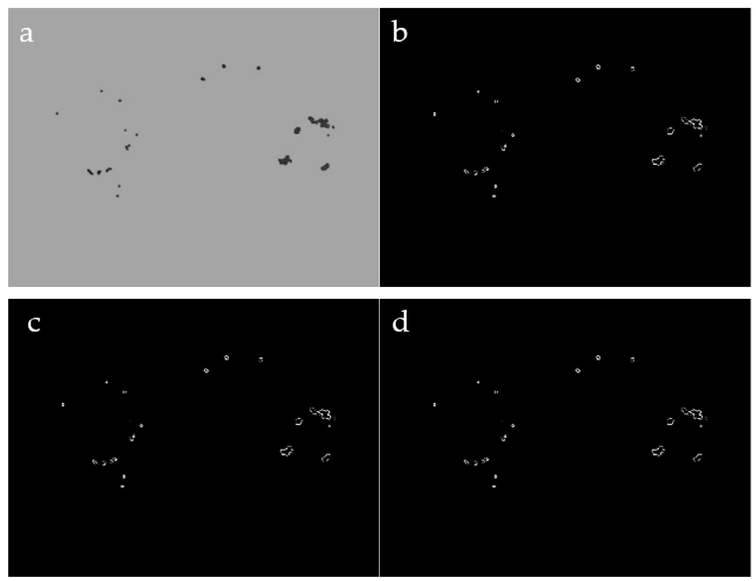 Applsci 11 00142 g010