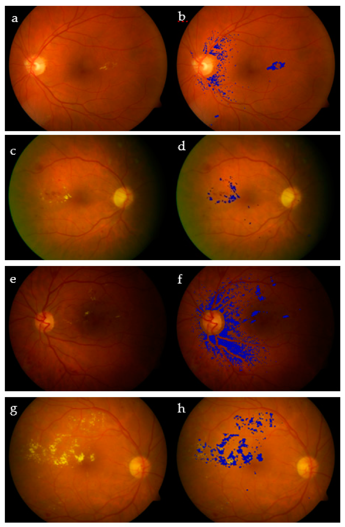 Applsci 11 00142 g015