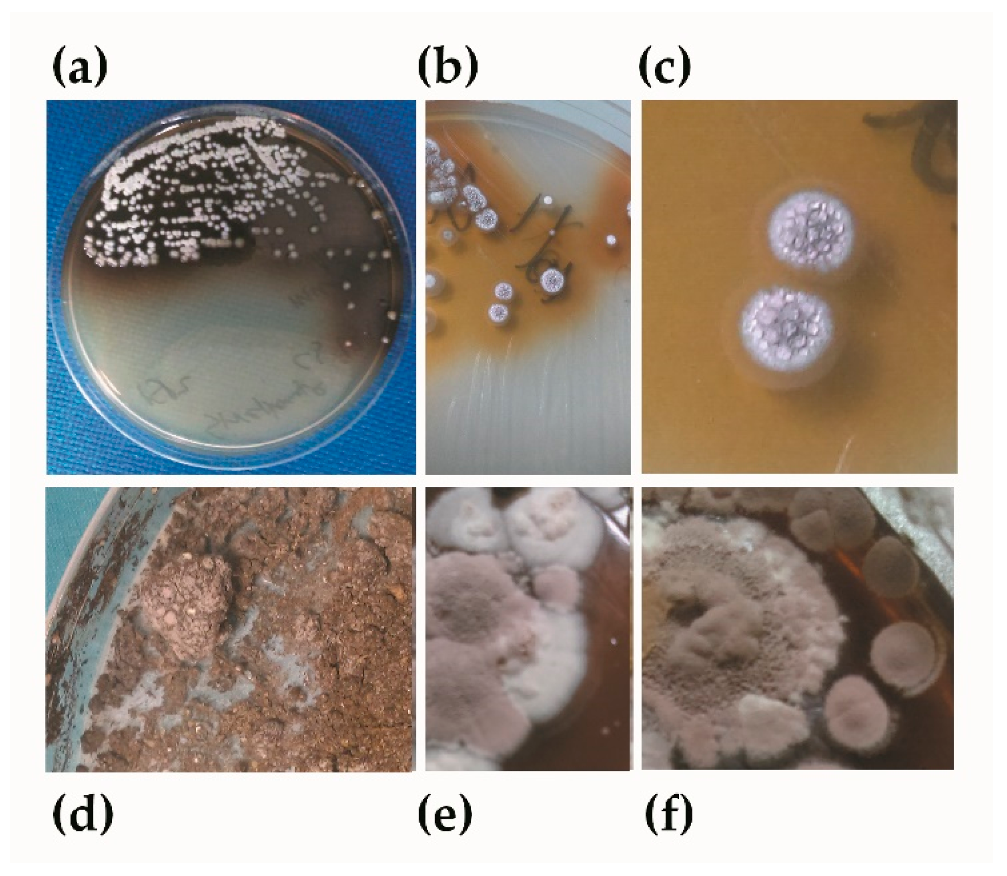 Applsci 11 00173 g001