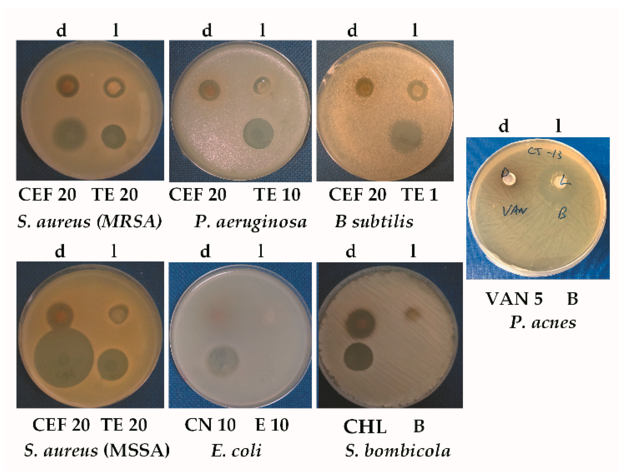 Applsci 11 00173 g003