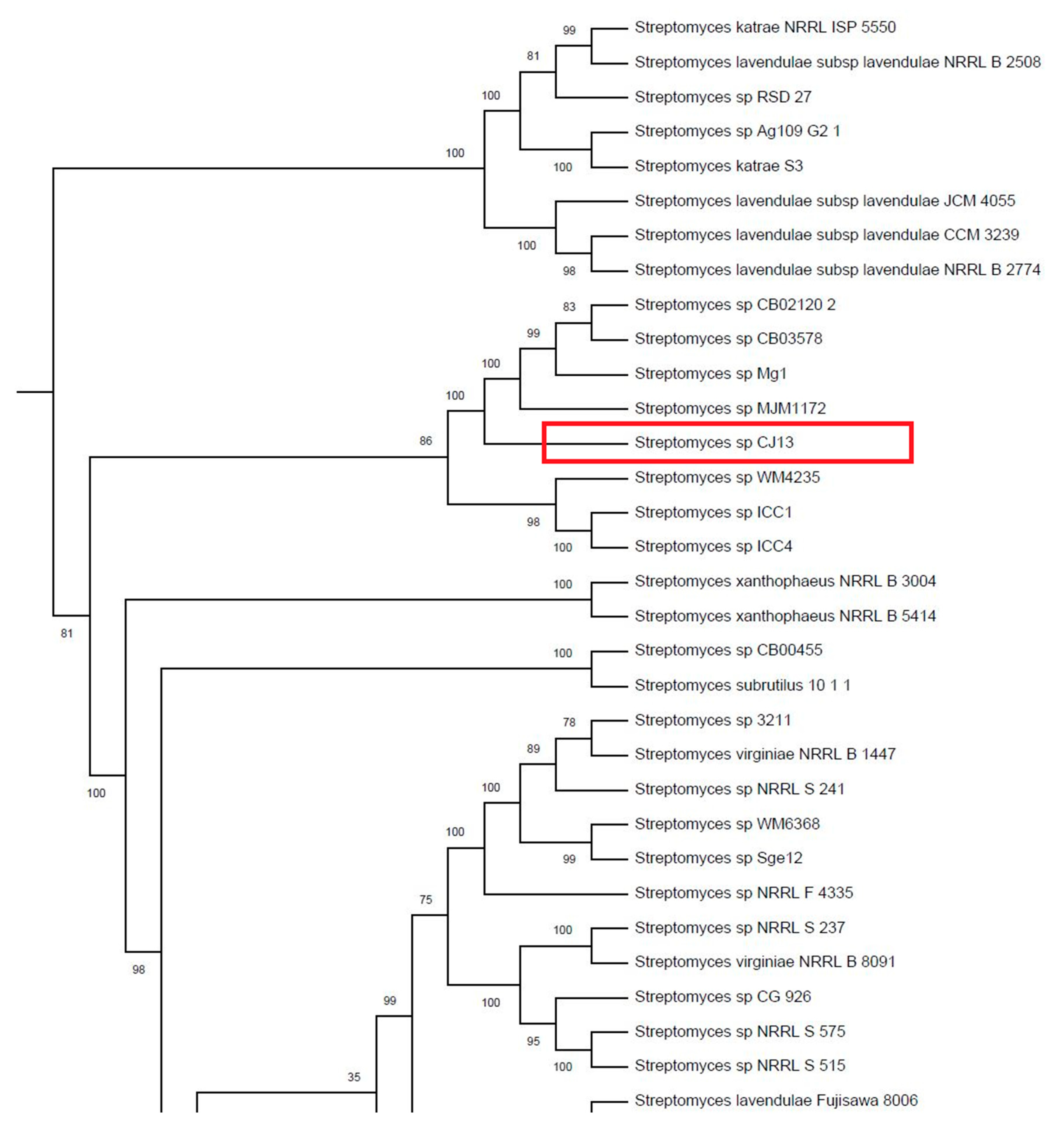 Applsci 11 00173 g005