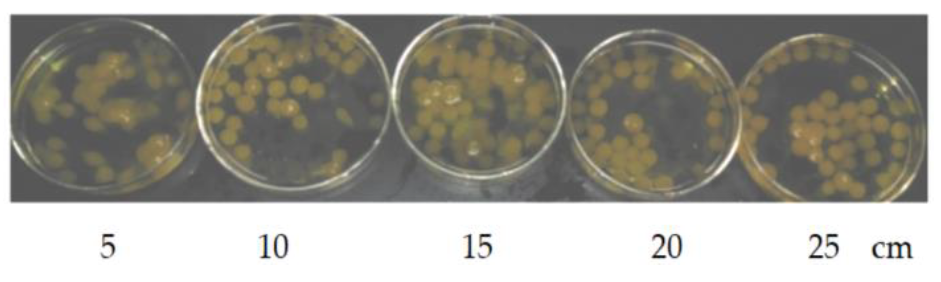 Applsci 11 00200 g002 Applsci 11 00200 g002