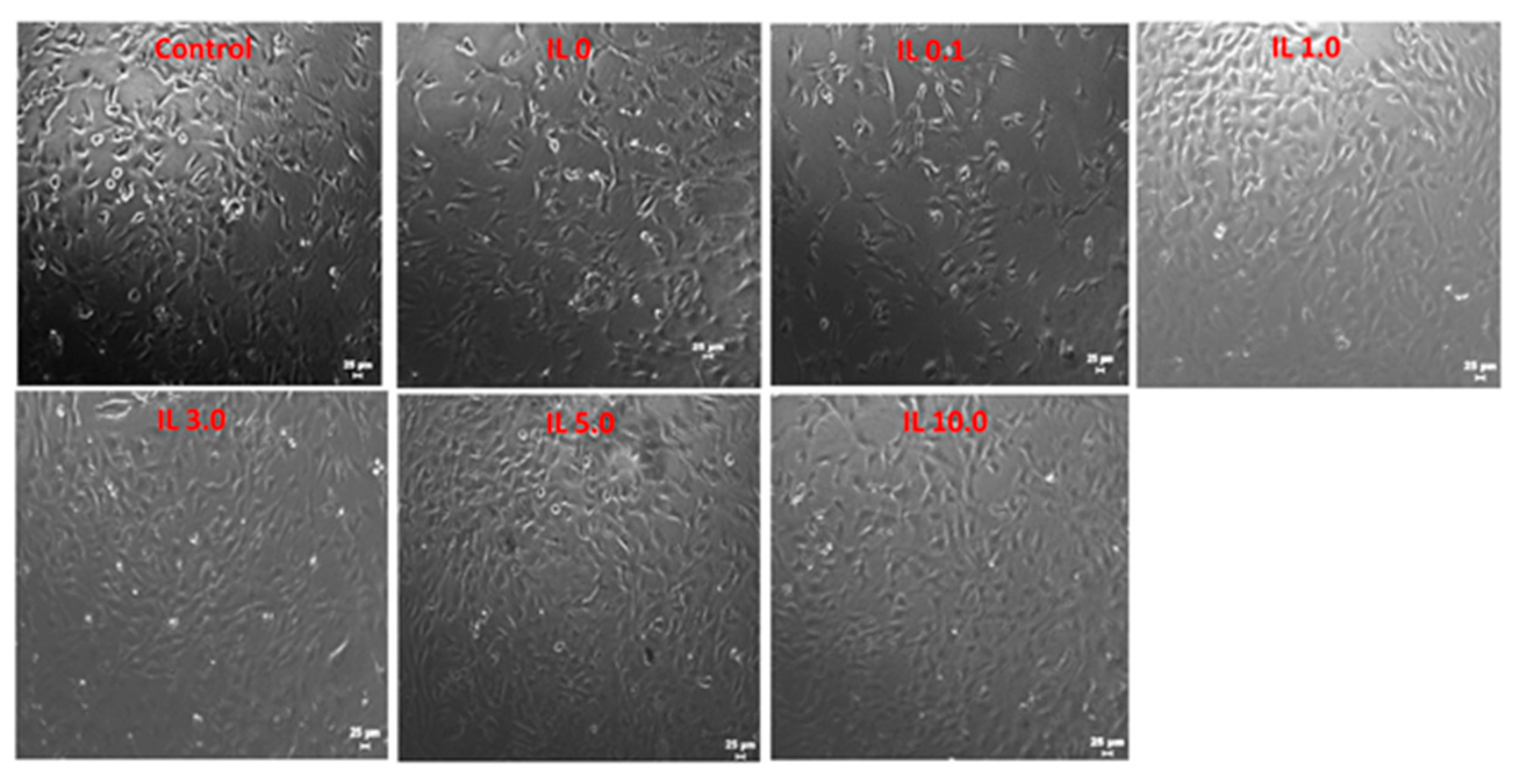 Applsci 11 00206 g007